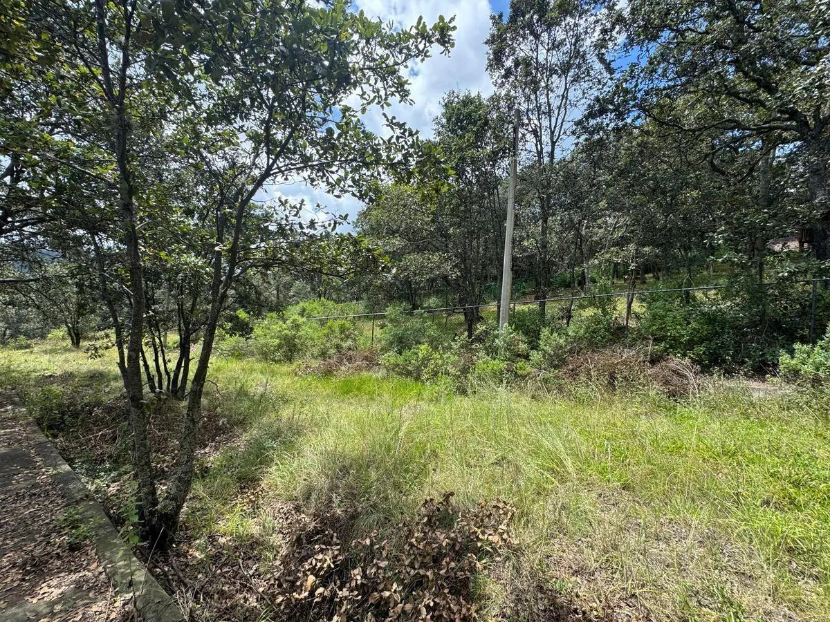 Terreno Spot2