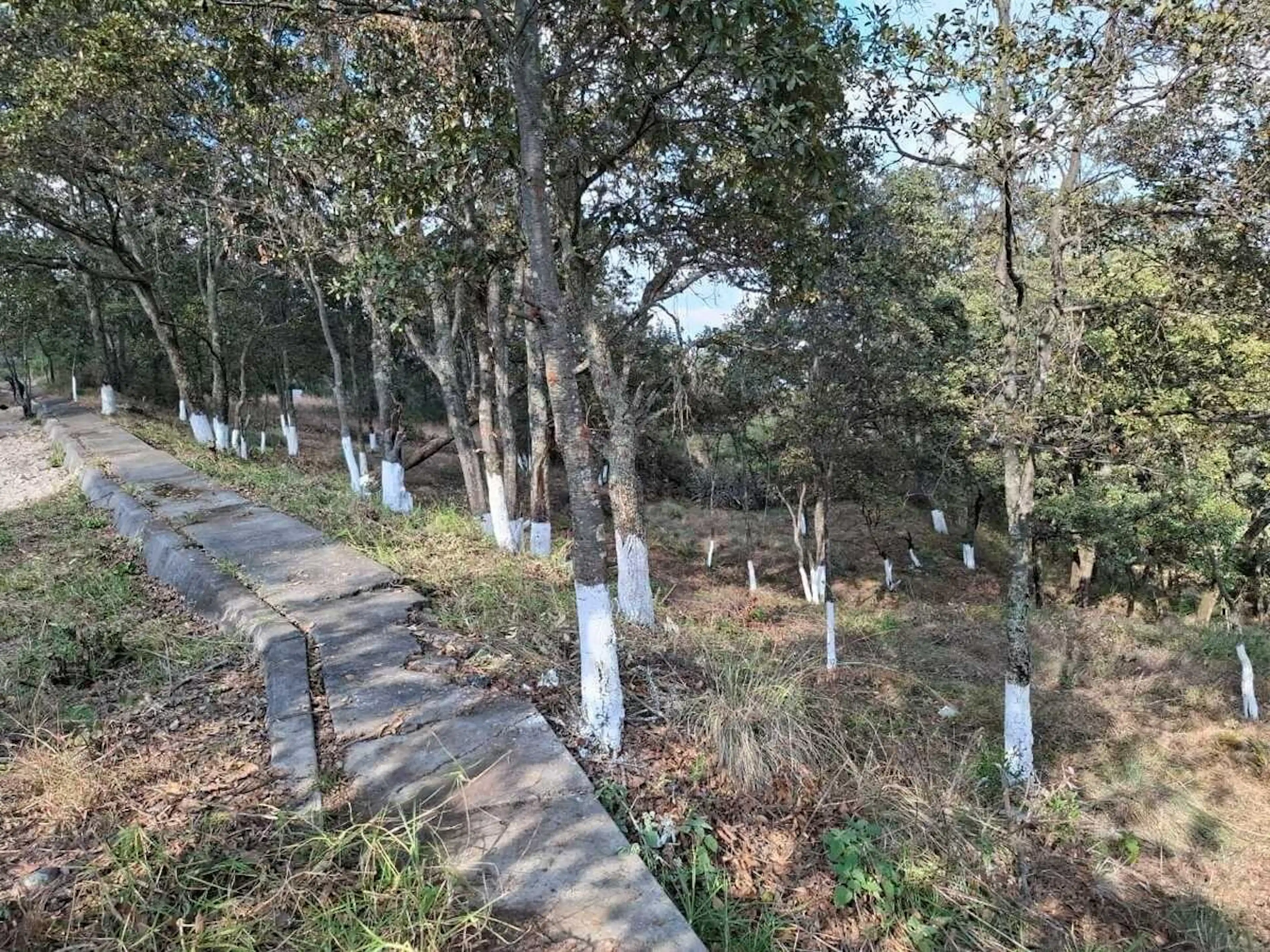 Venta de terreno en Fracc. Residencial Campestre Lt. 20 Mza. XI, Villa del Carbó