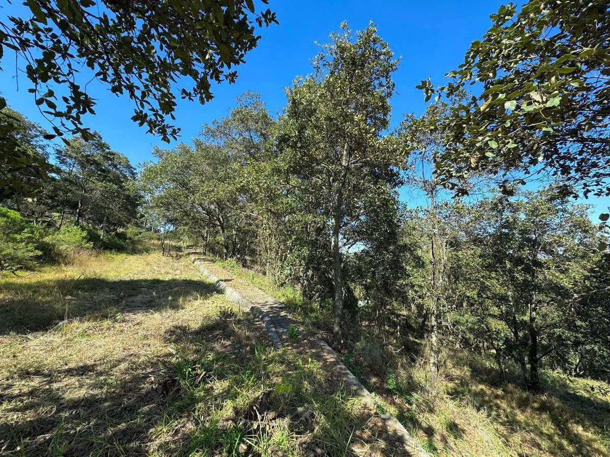 Terreno Spot2