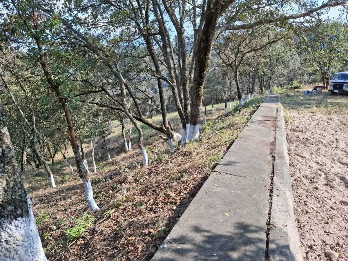 Terreno Spot2