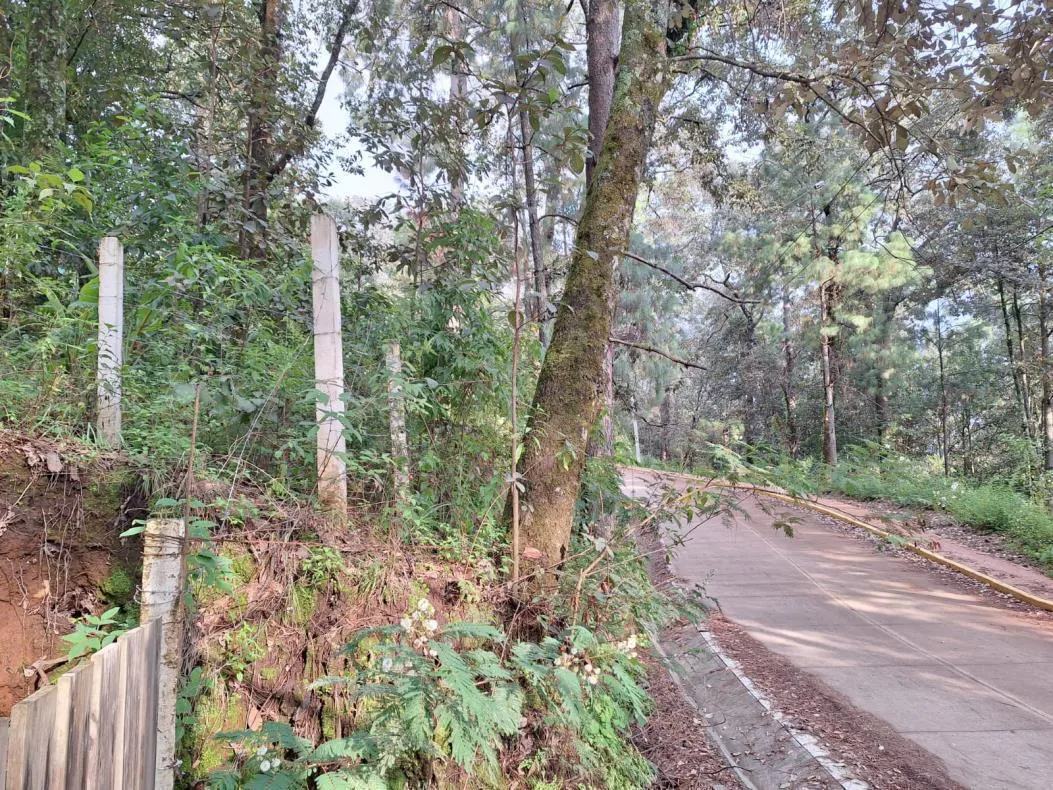Terreno Spot2