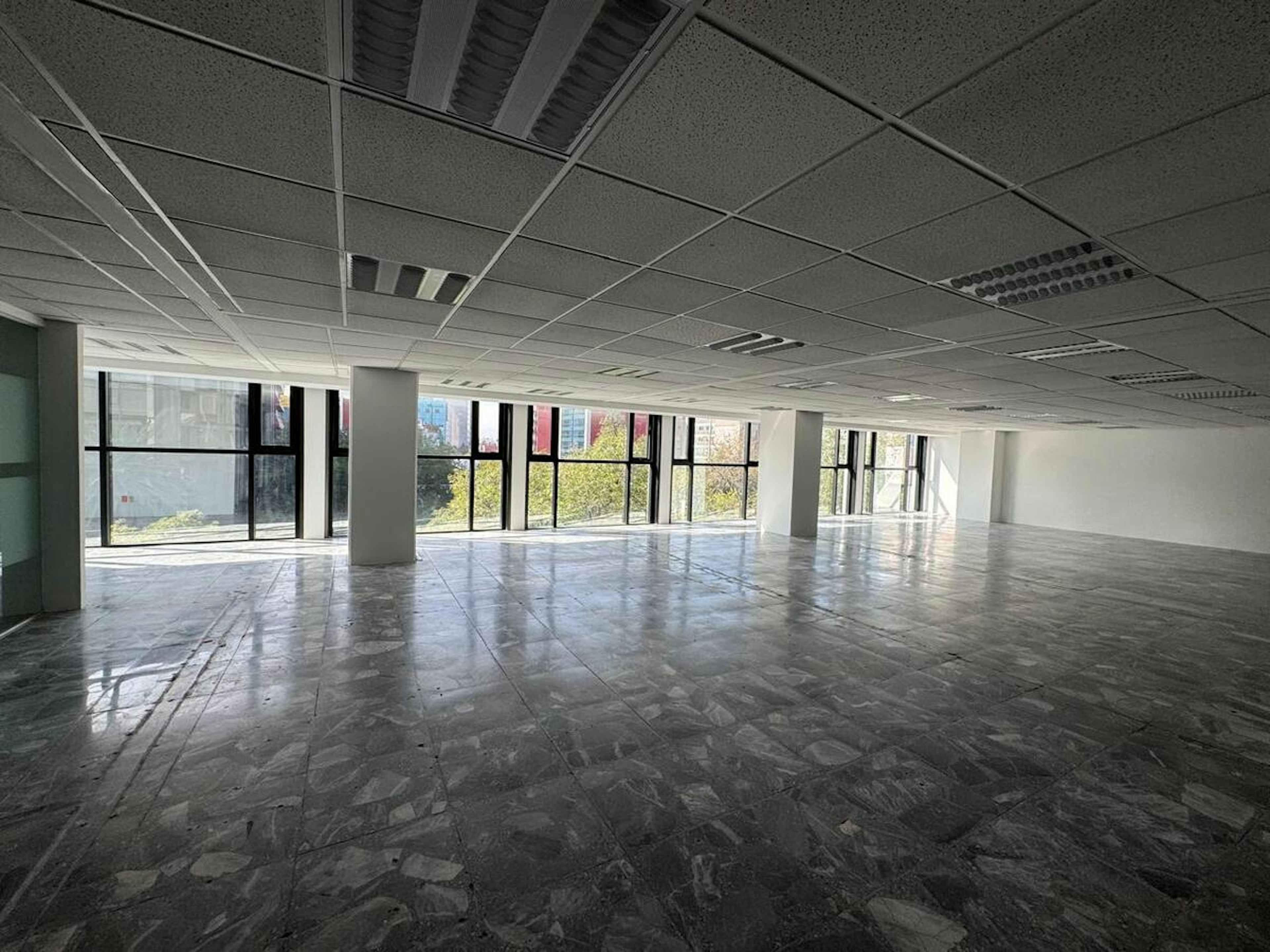 Avenida Insurgentes Sur