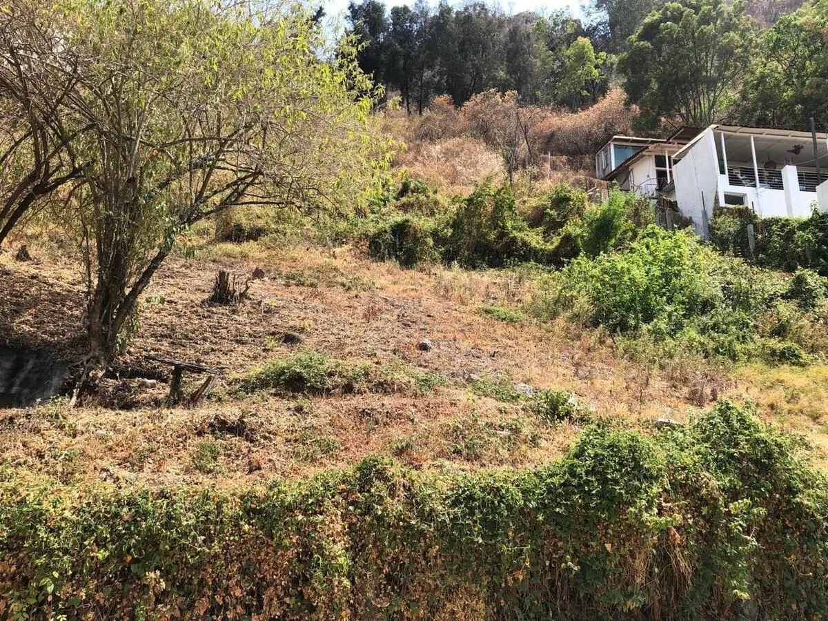 Terreno Spot2