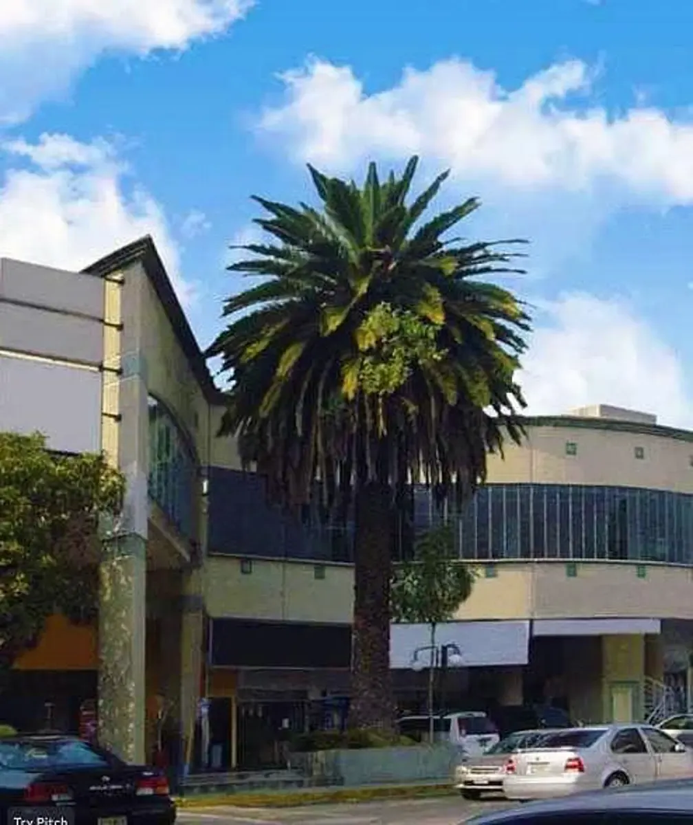 Local Comercial Spot2