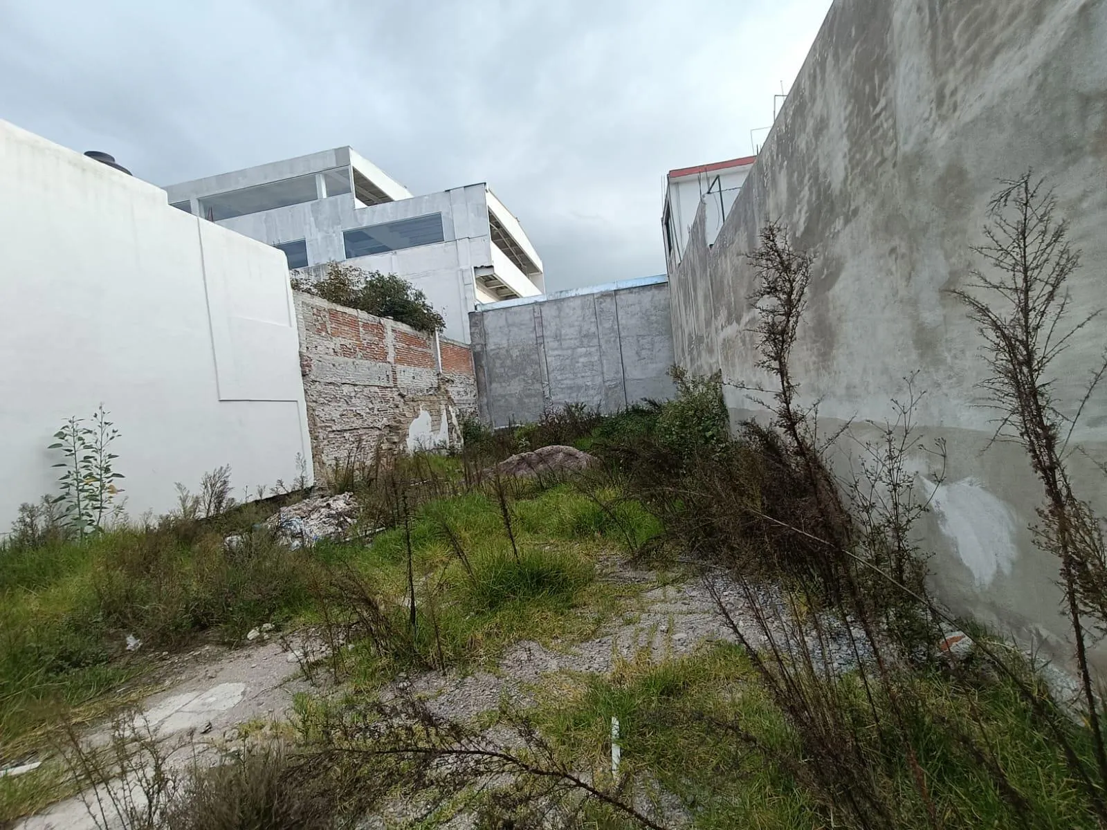 Terreno Spot2