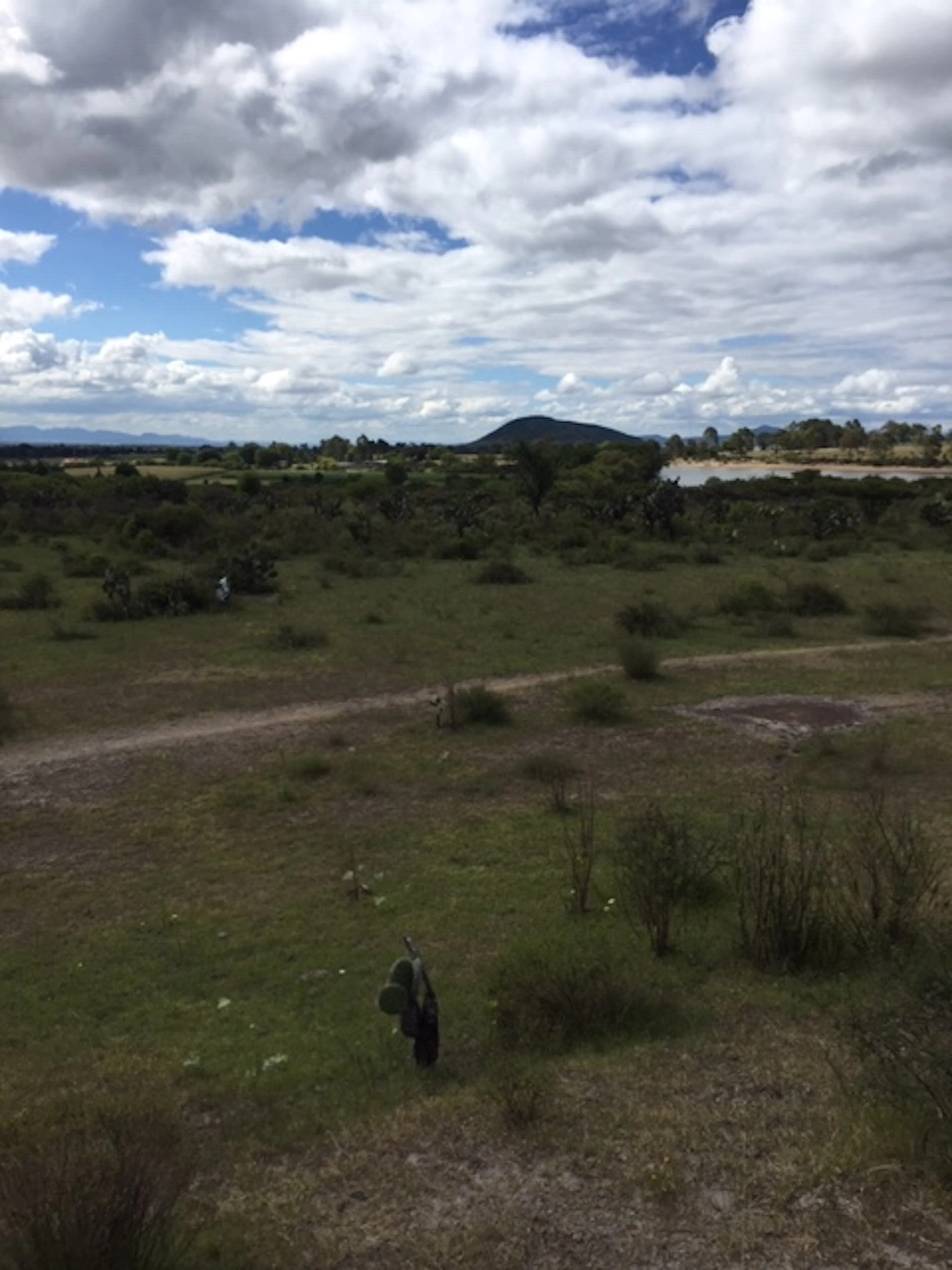 Terreno Spot2