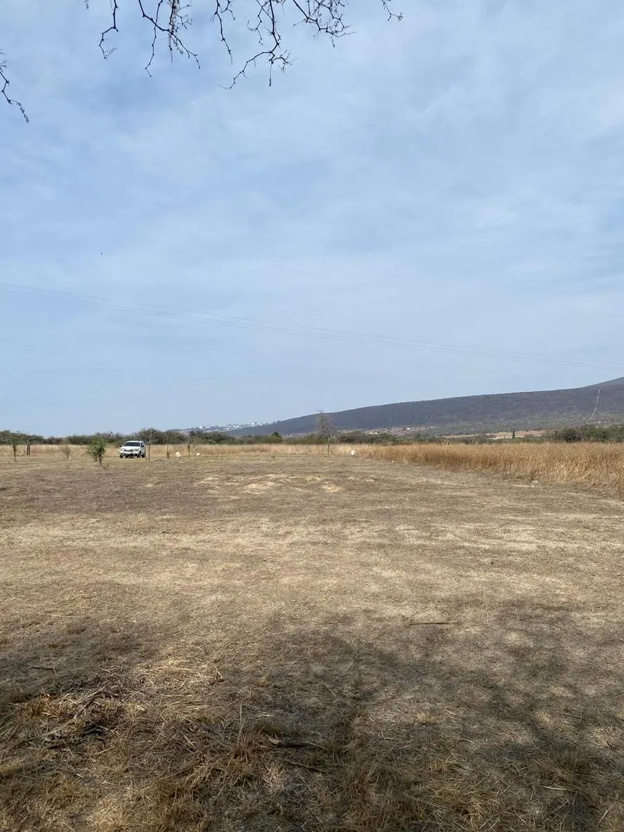 Terreno Spot2