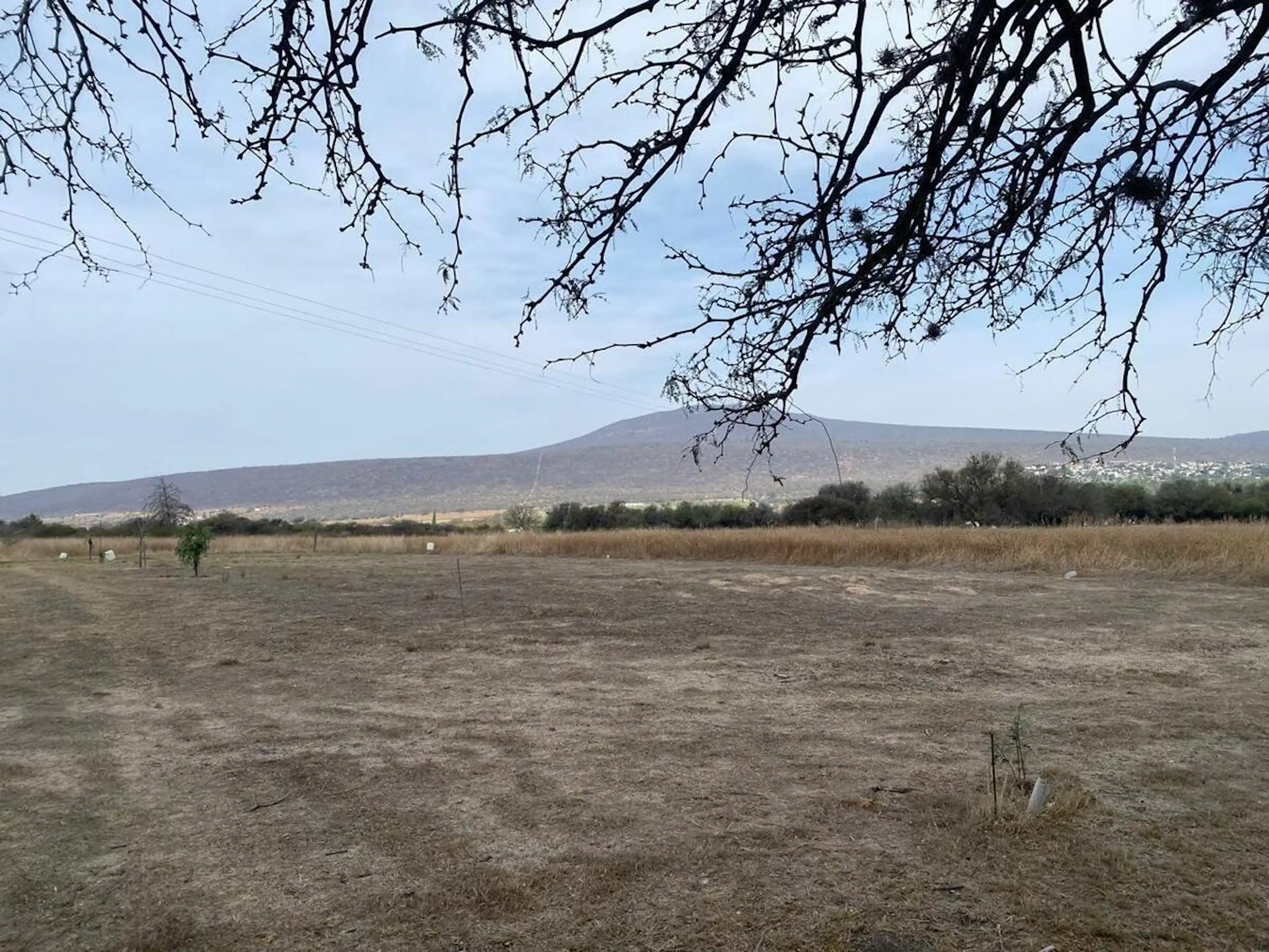 Terrenos En Venta En Camino Al Milagro Huimilpan, Qro. - ¡inversión Ideal!