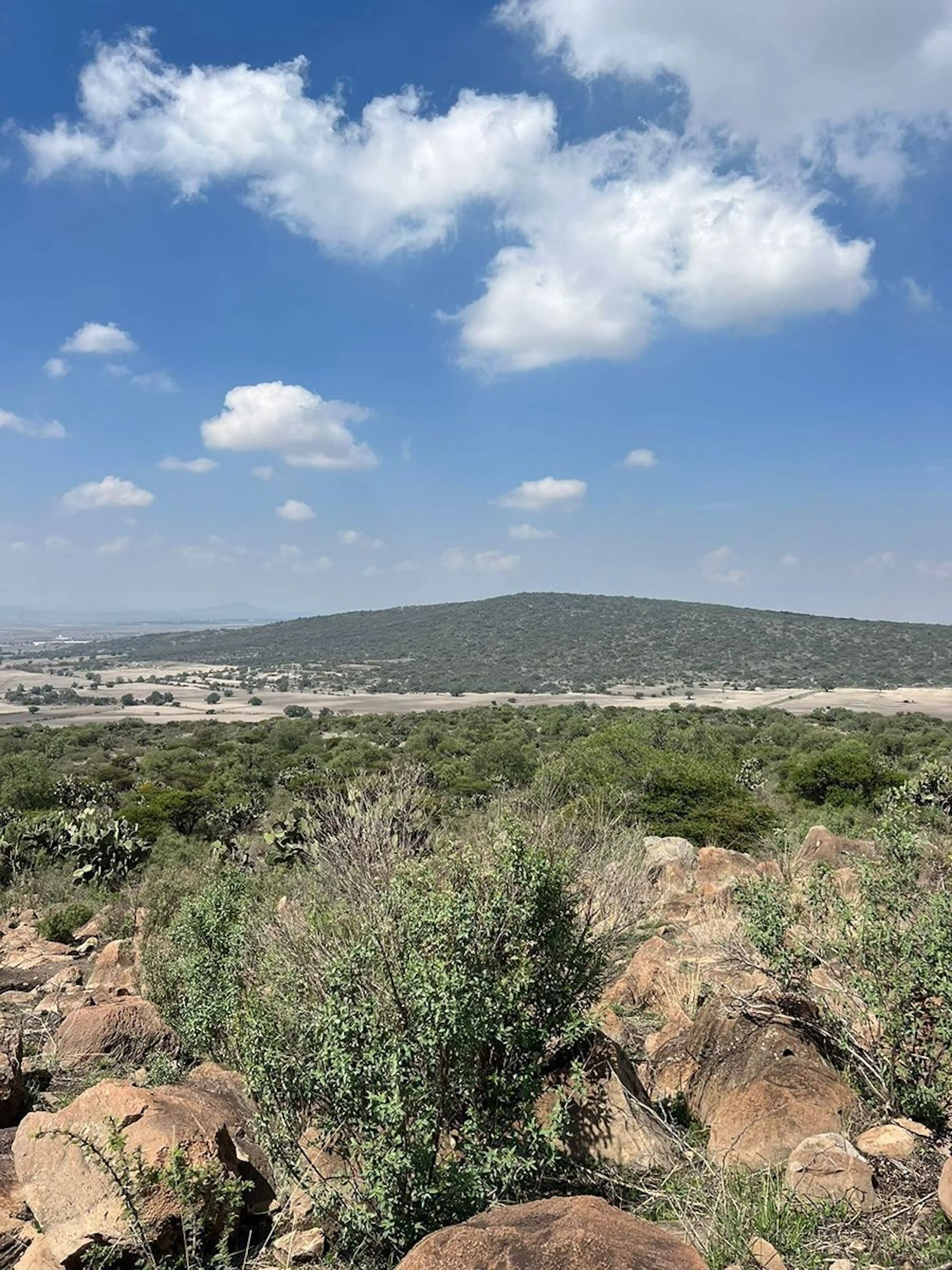 TERRENO EN VENTA, ZAPOTLÁN DE JUÁREZ, HIDALGO