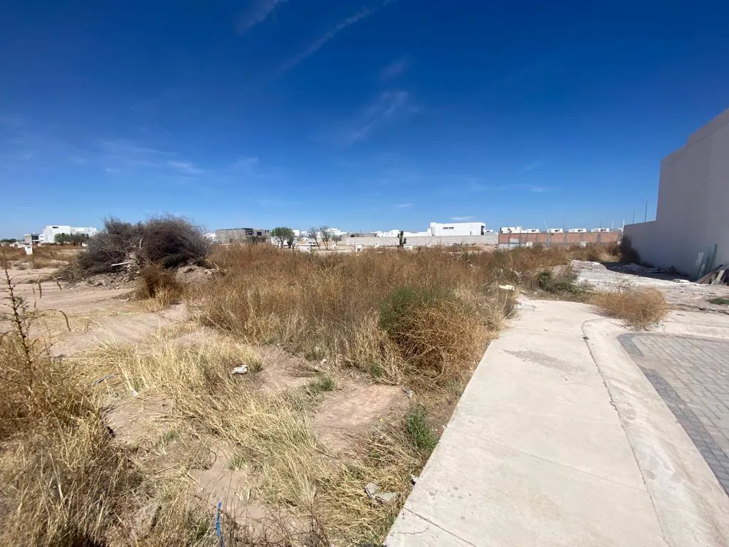 Terreno Spot2