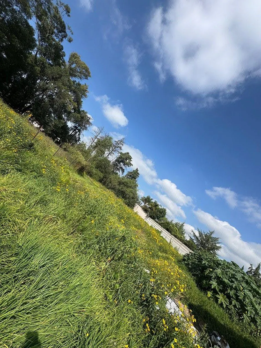 Terreno Spot2