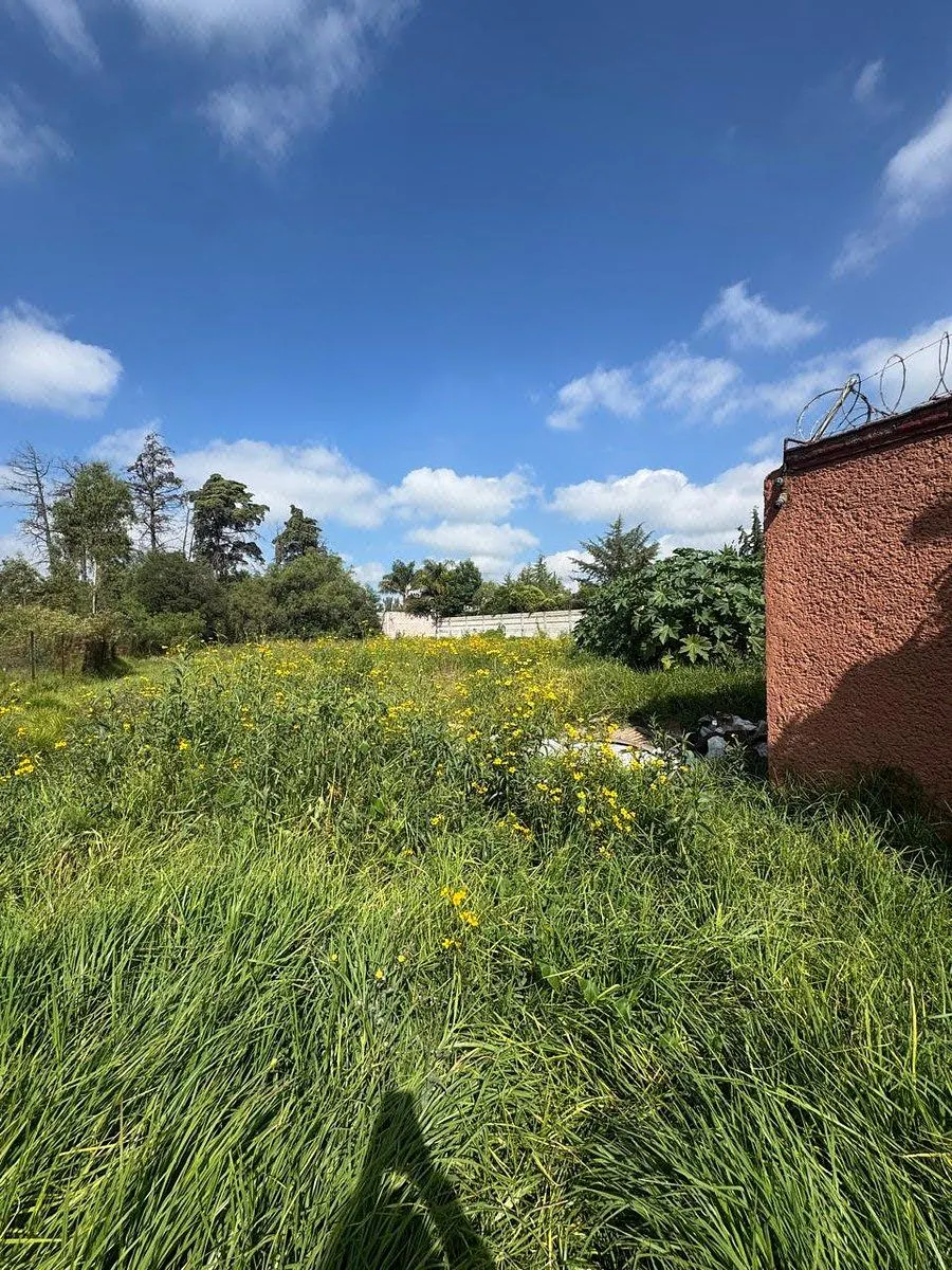 Terreno Spot2