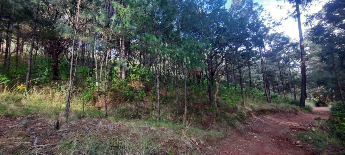 Terreno Spot2