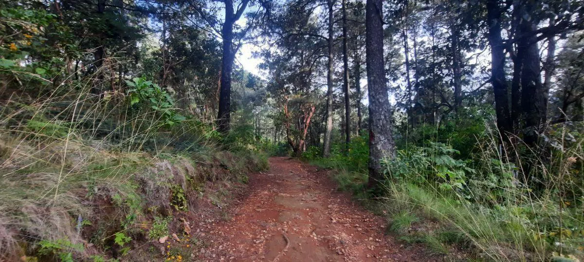Terreno Spot2