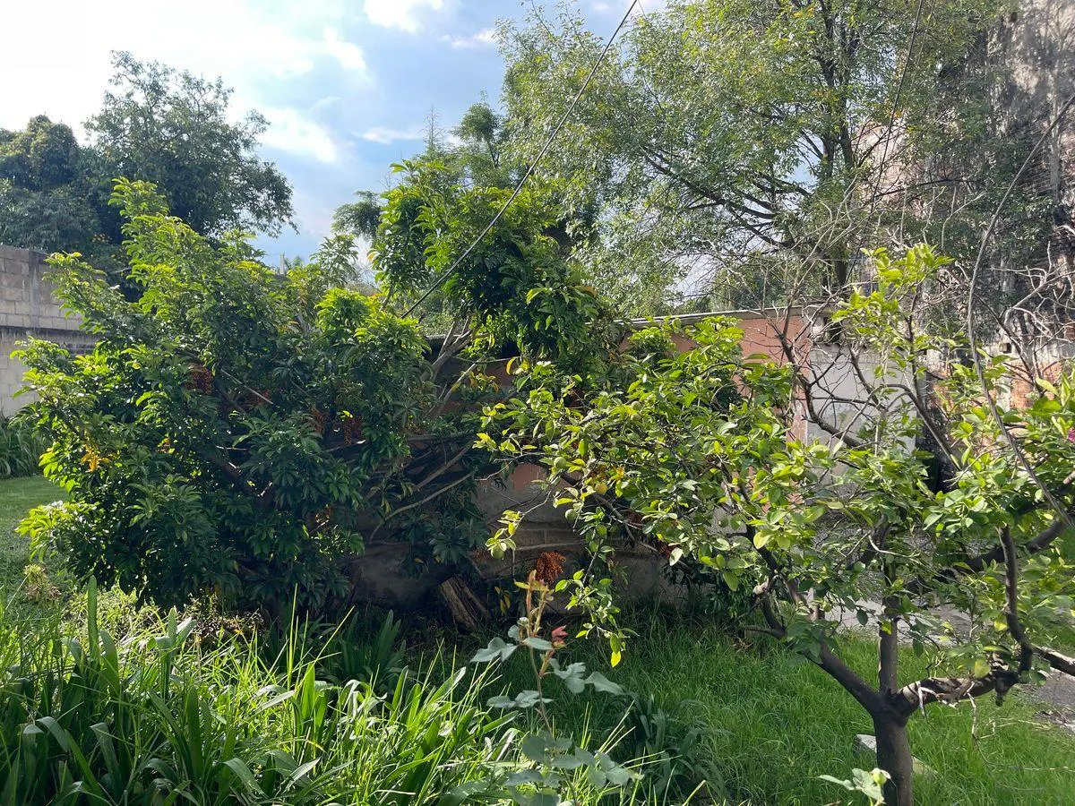 Terreno Spot2