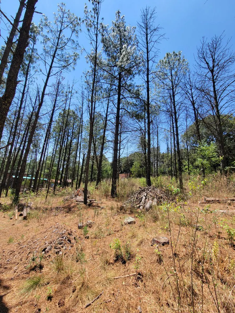Terreno Spot2