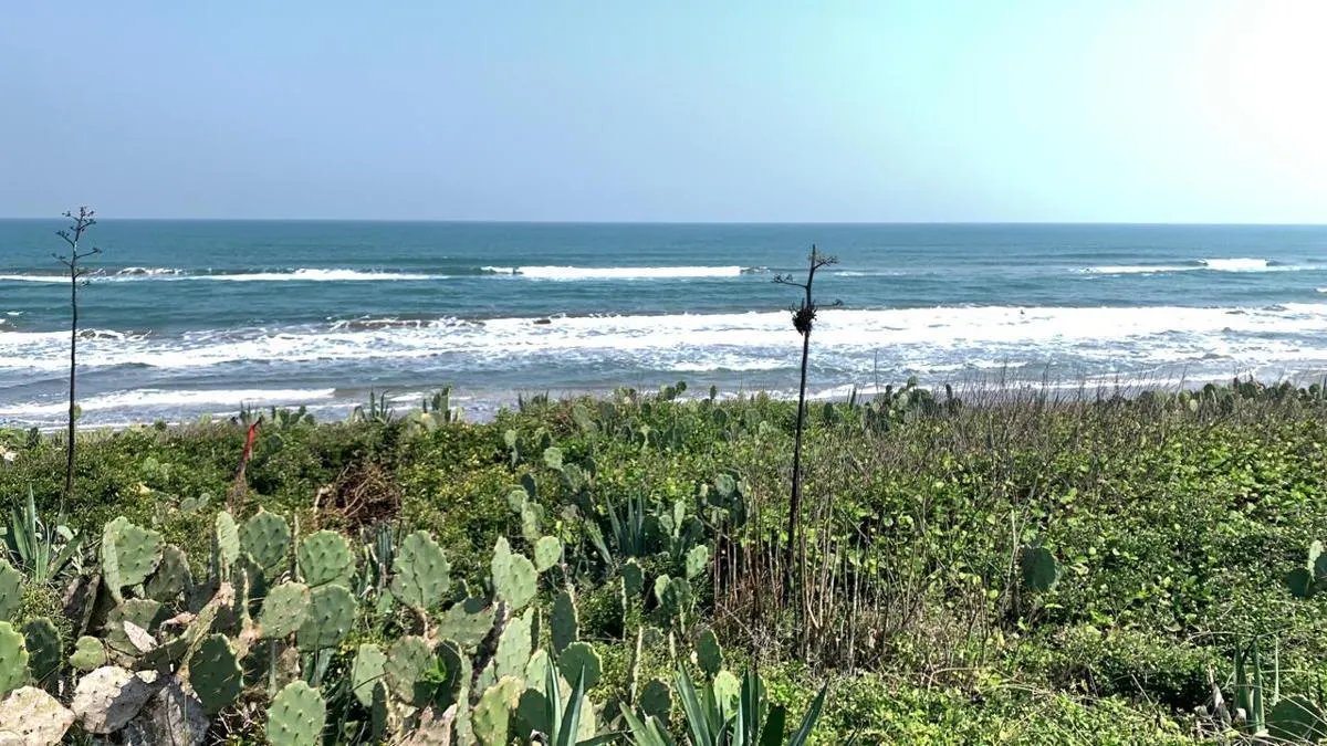 Terreno Spot2