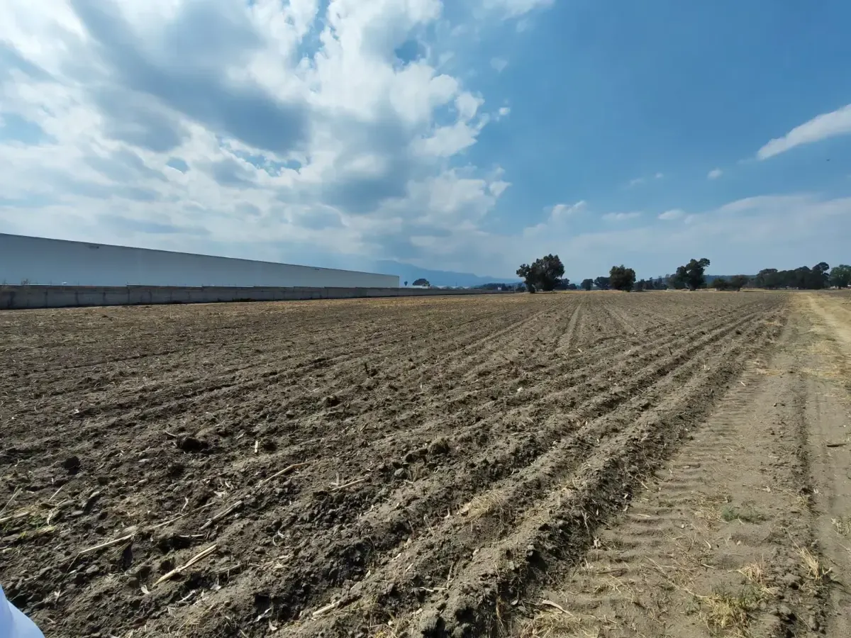 Terreno Spot2