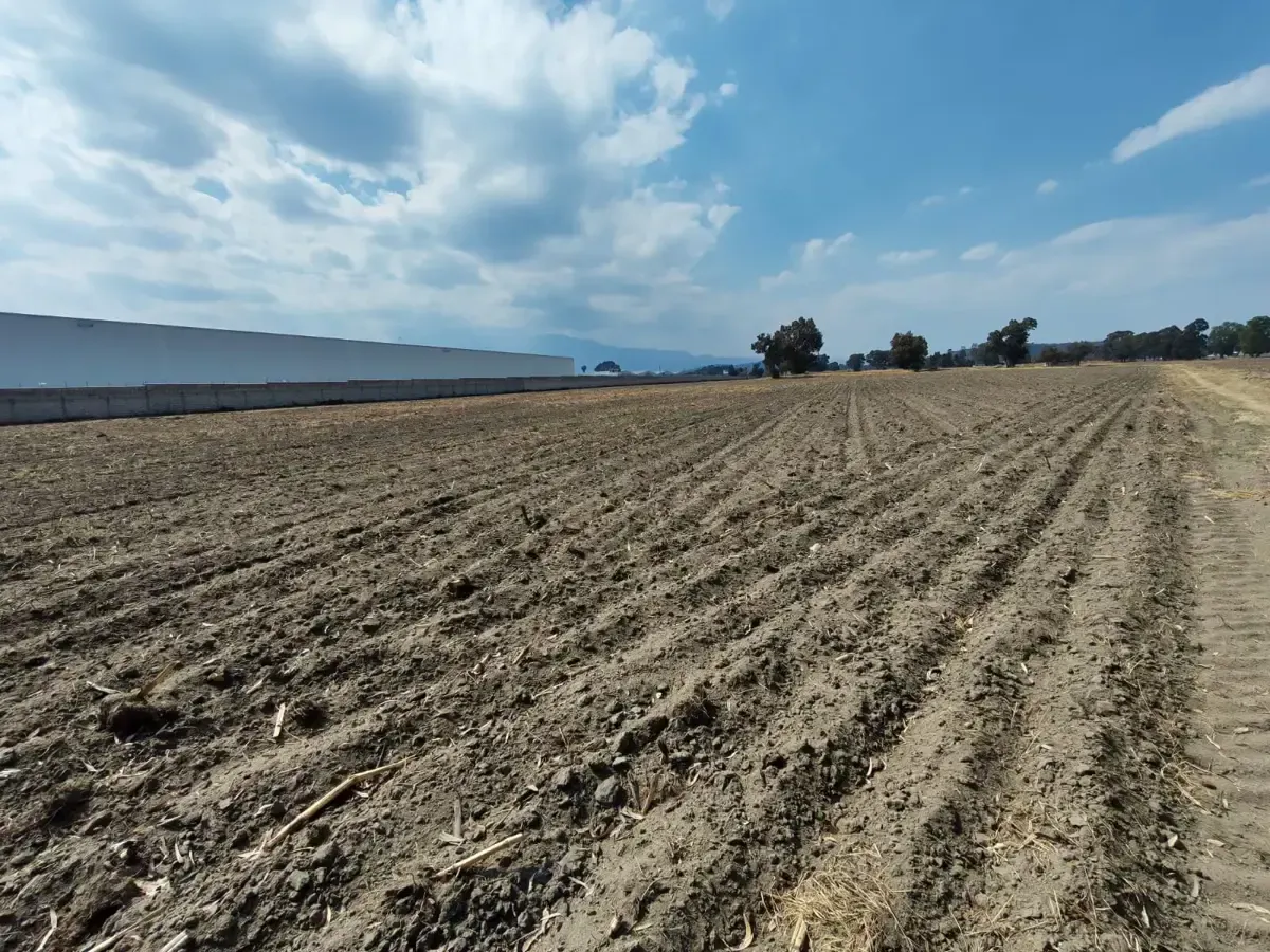 Terreno Spot2