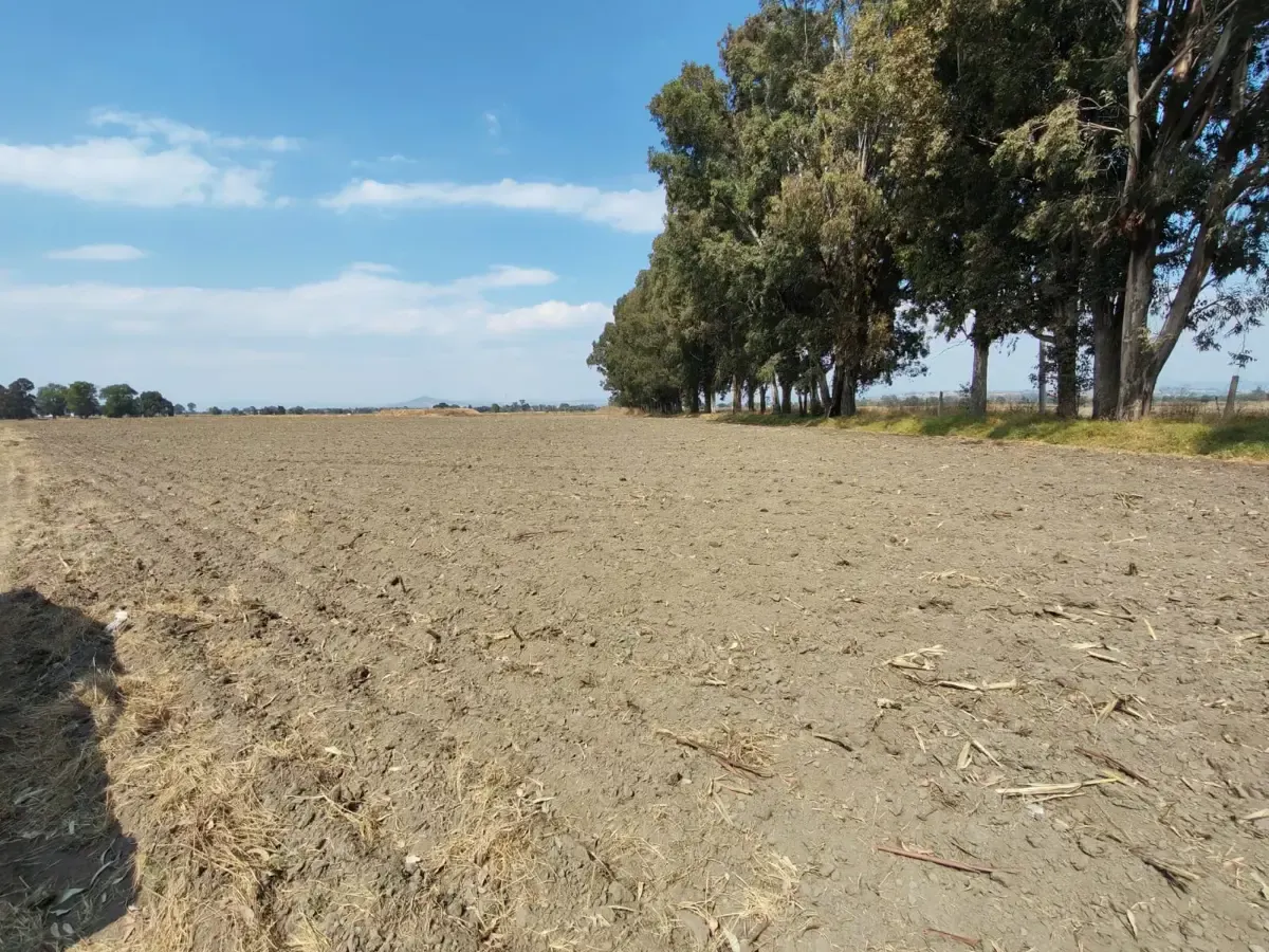 Terreno Spot2