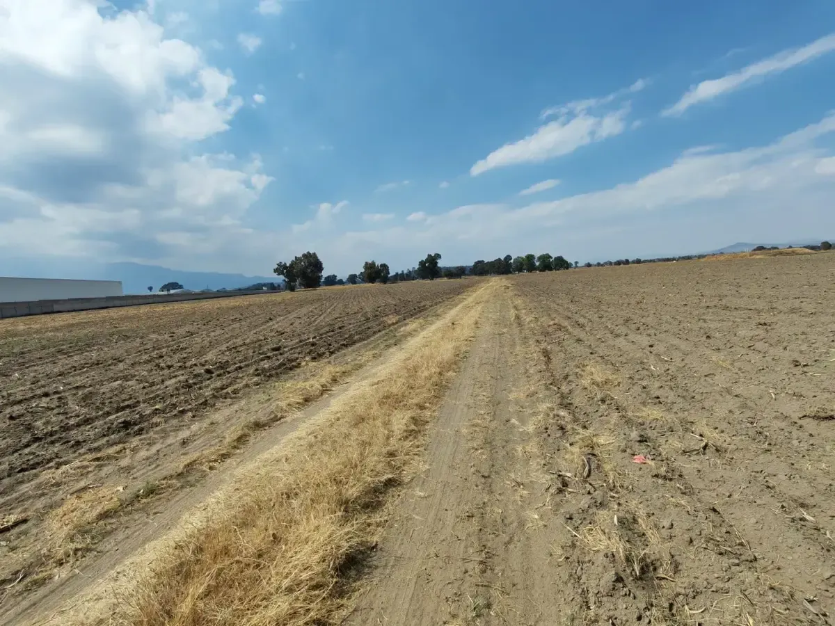 Terreno Spot2