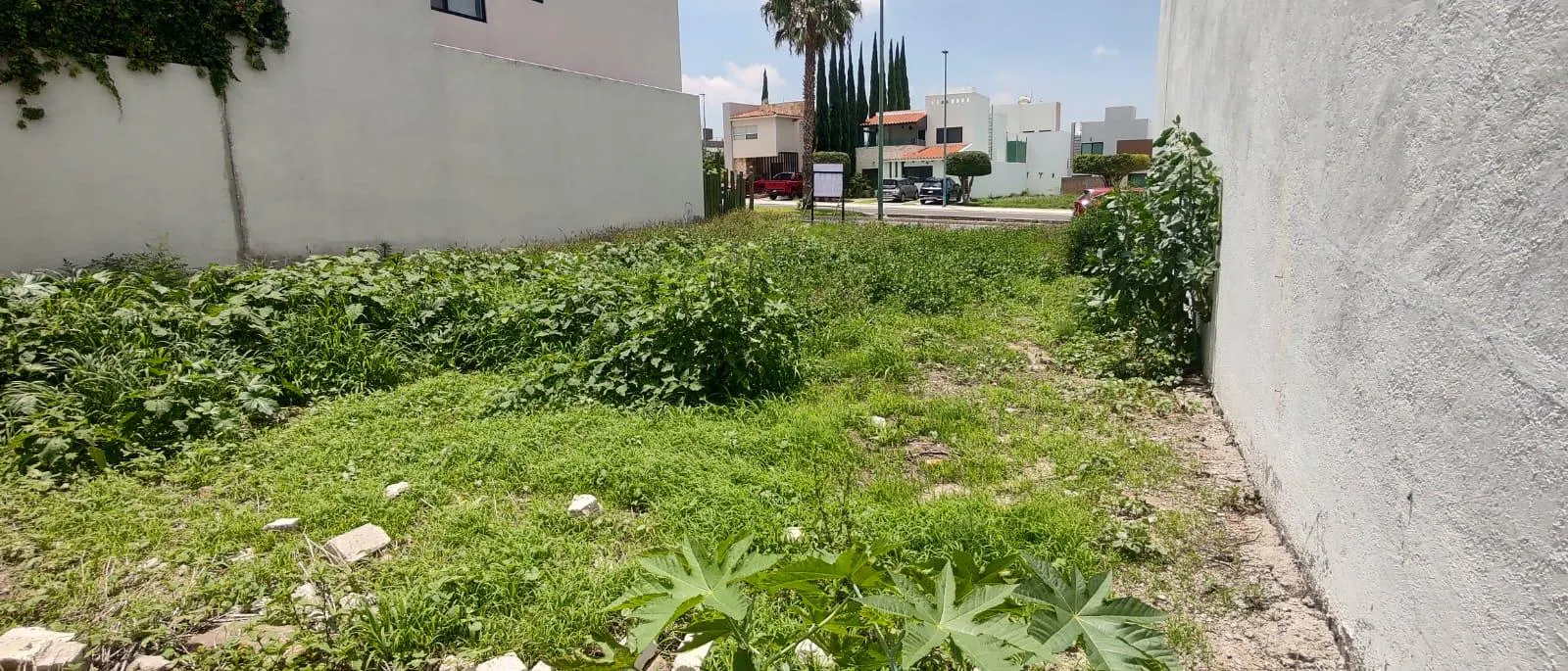 Terreno Spot2