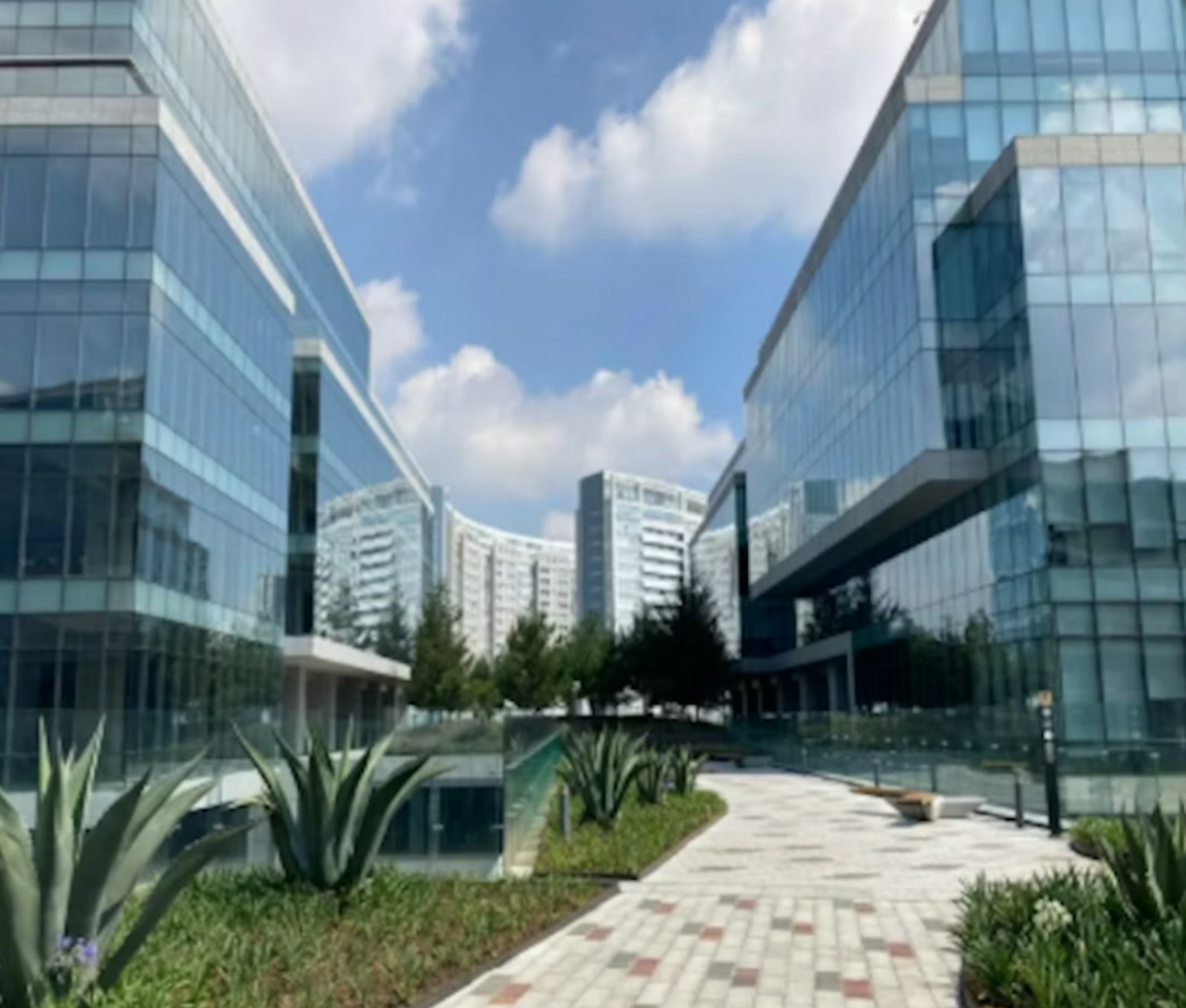 Local 5 + Terraza-photo