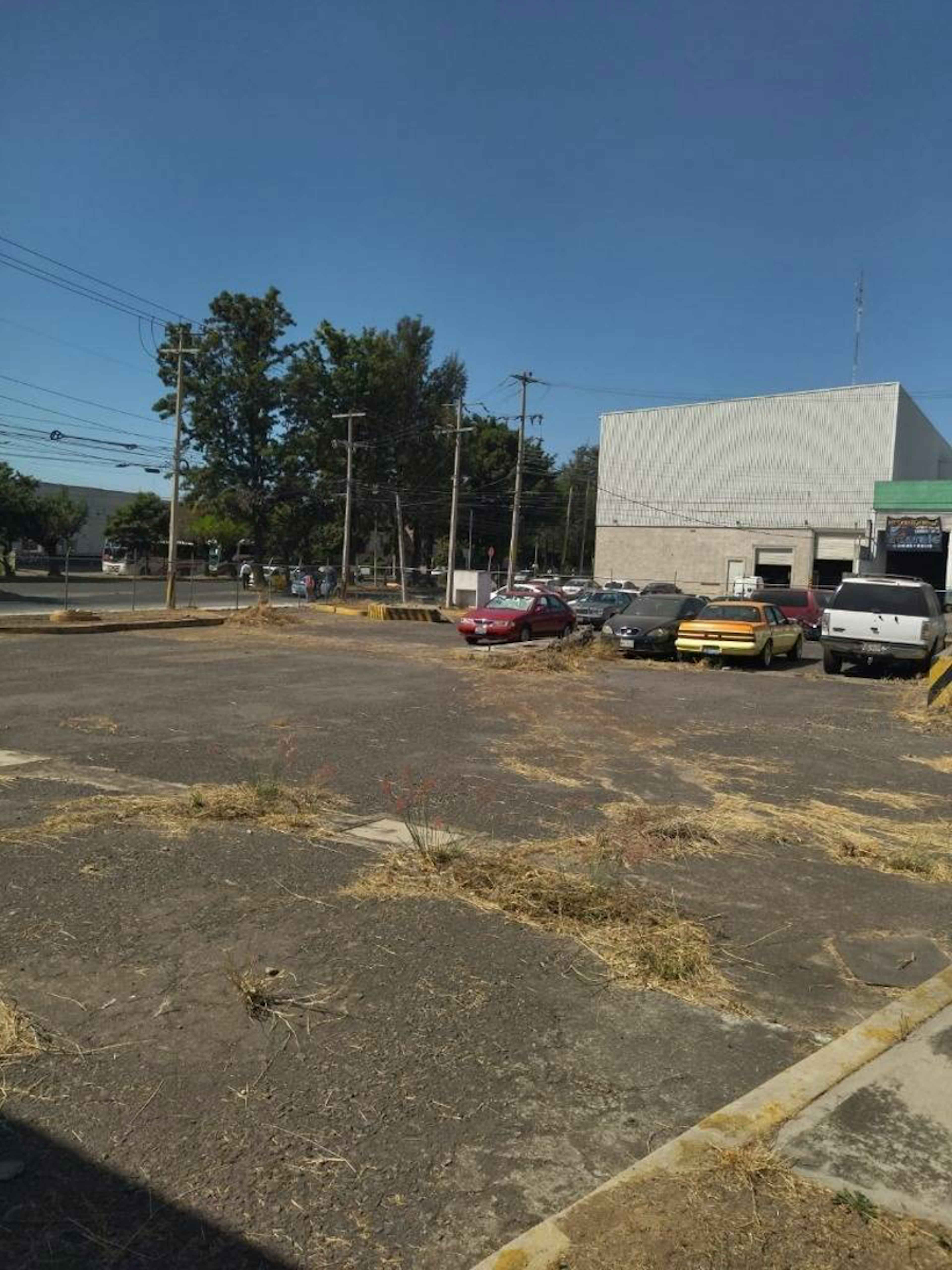 Terreno En Renta En Jardines Del Rosario, Guadalajara, Jalisco