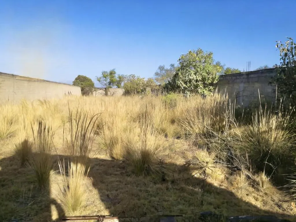 Terreno Spot2