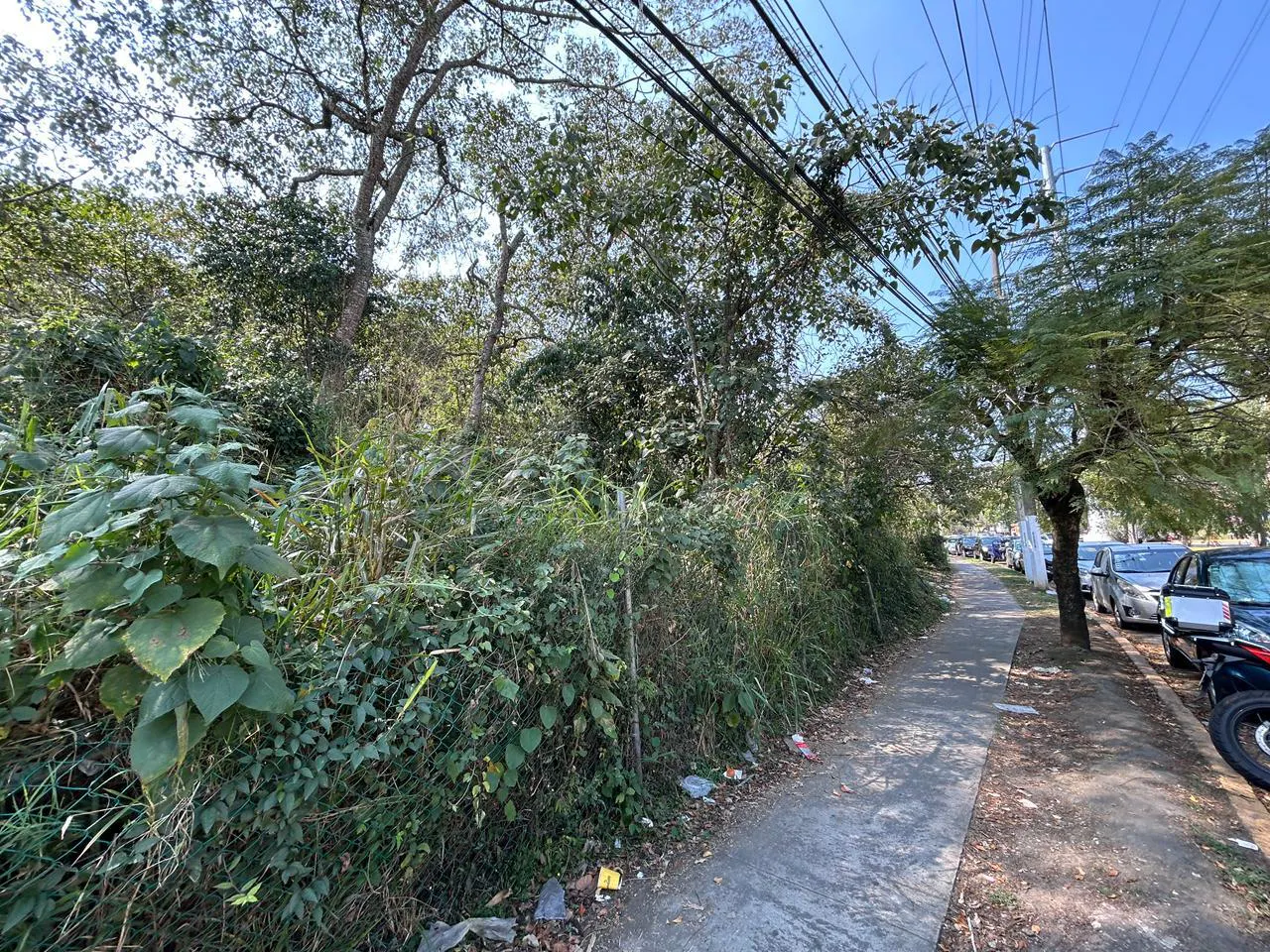 Terreno Spot2