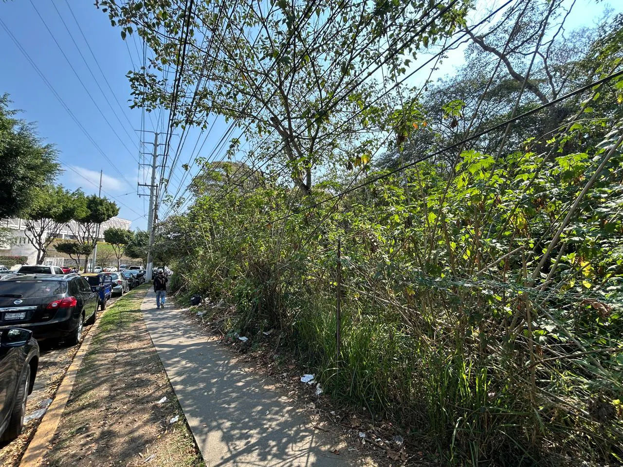 Terreno Spot2