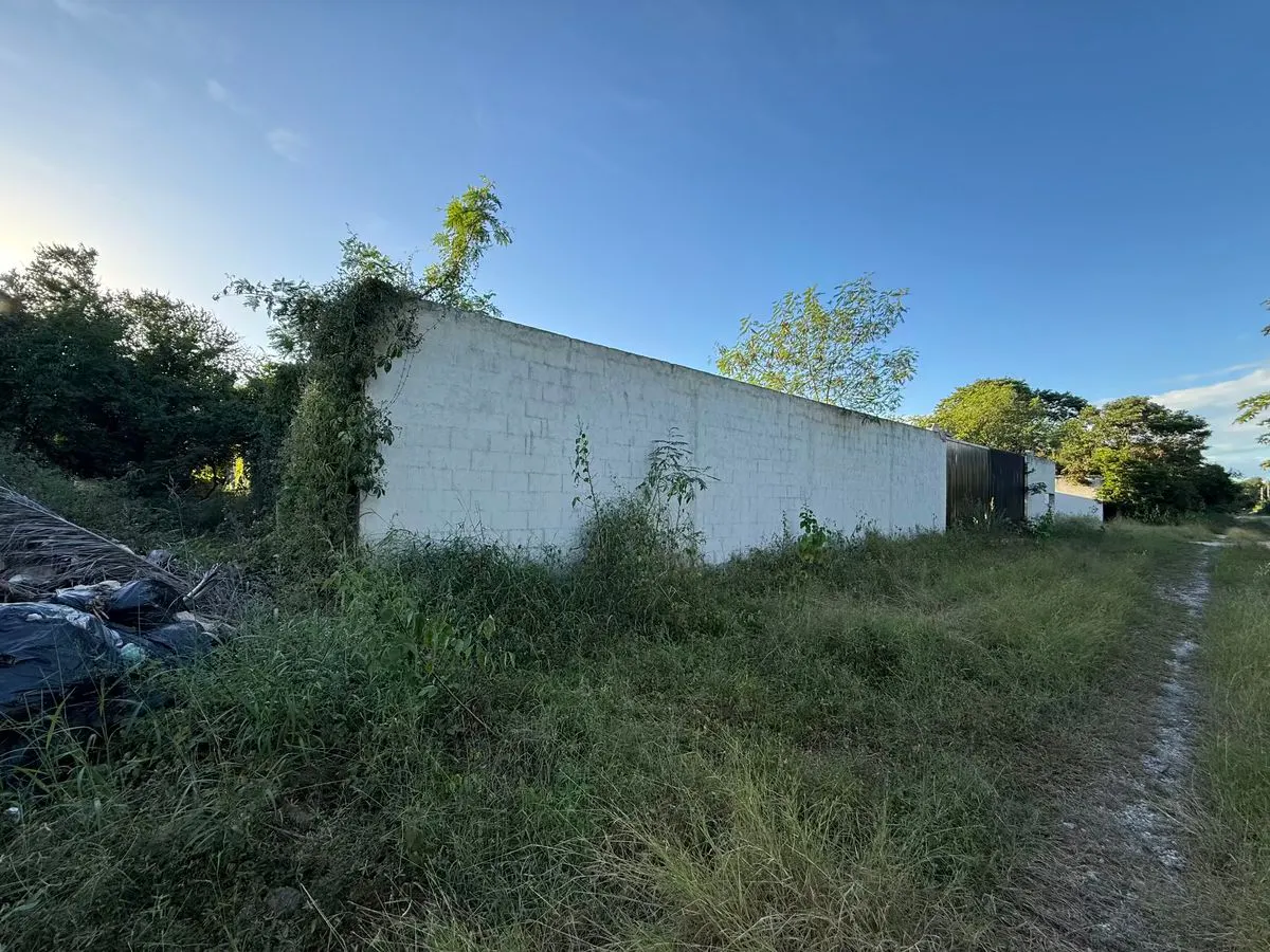 Terreno Spot2