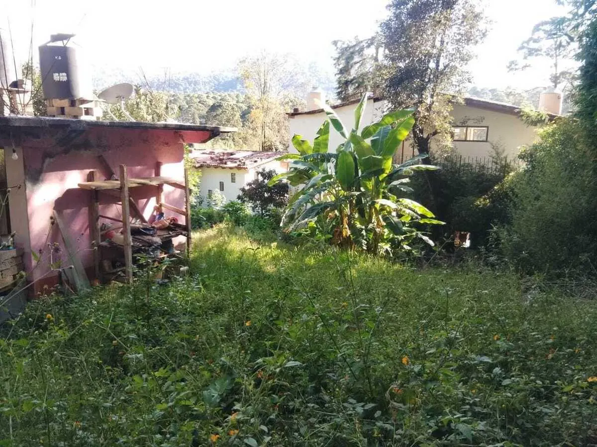 Terreno Spot2