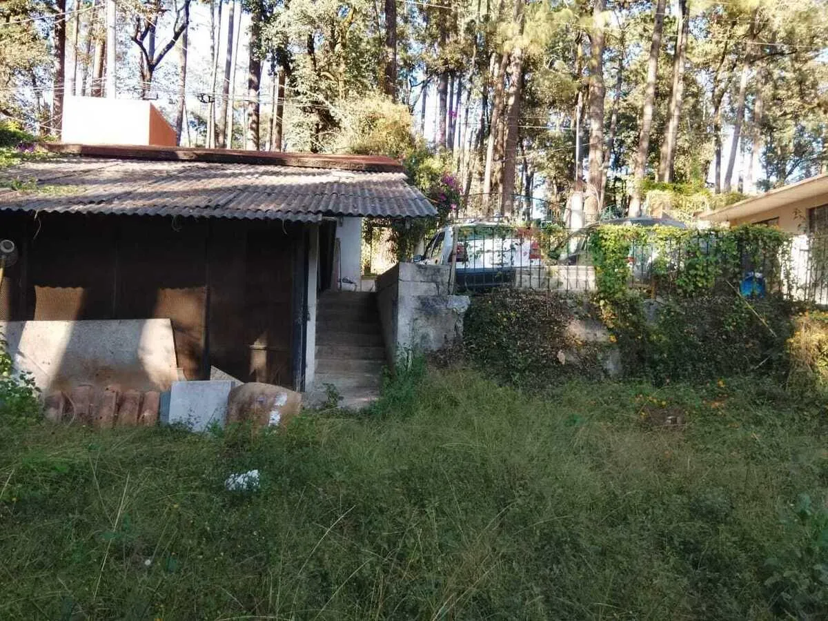Terreno Spot2