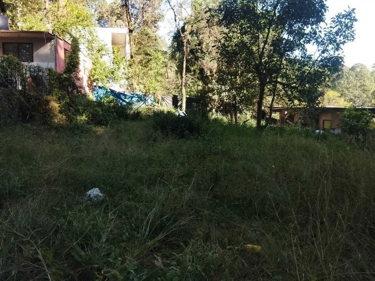 Terreno Spot2