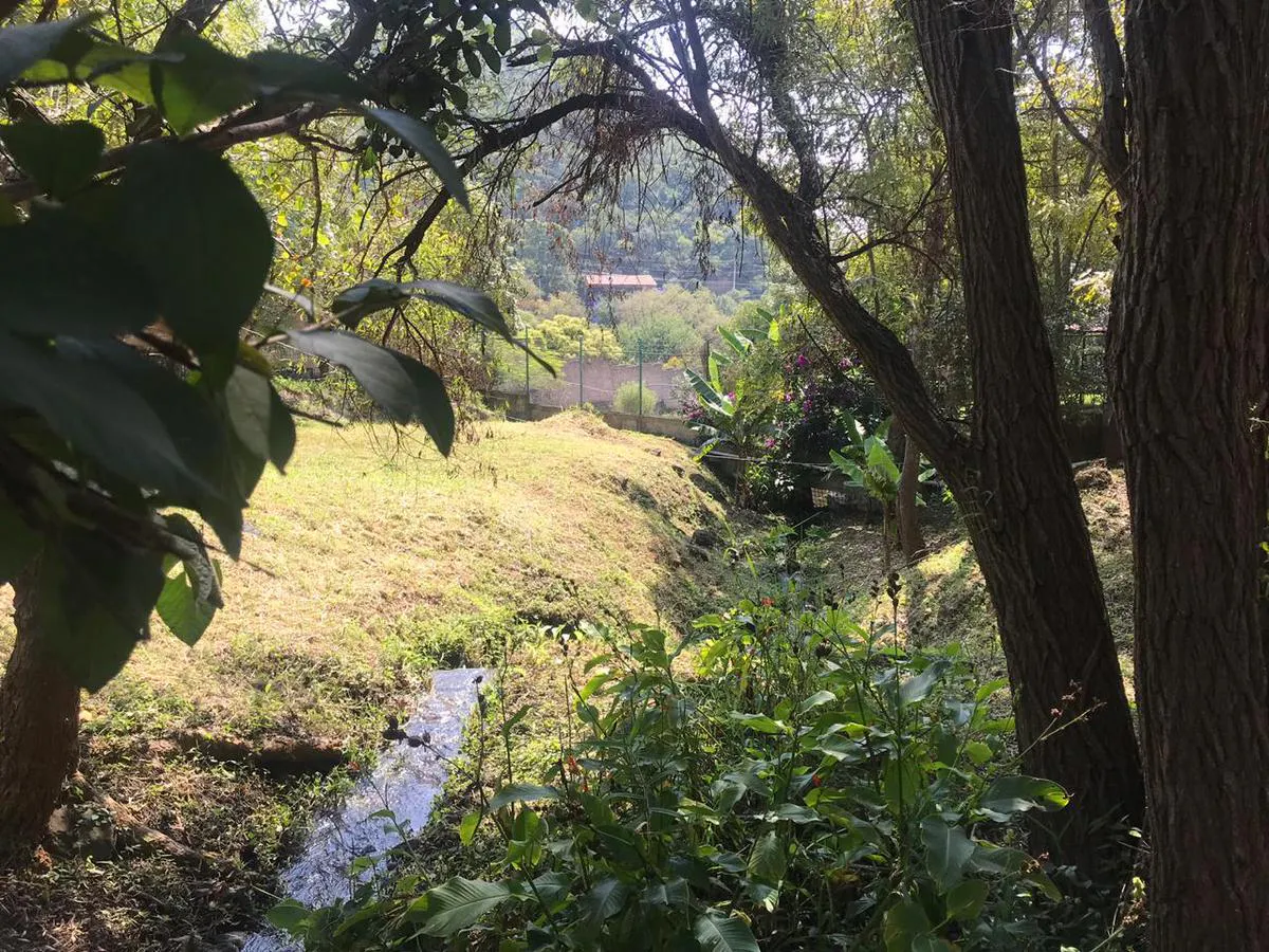 Terreno Spot2