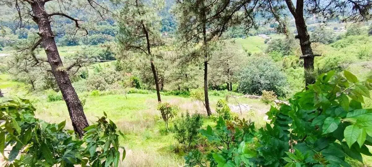 Terreno Spot2