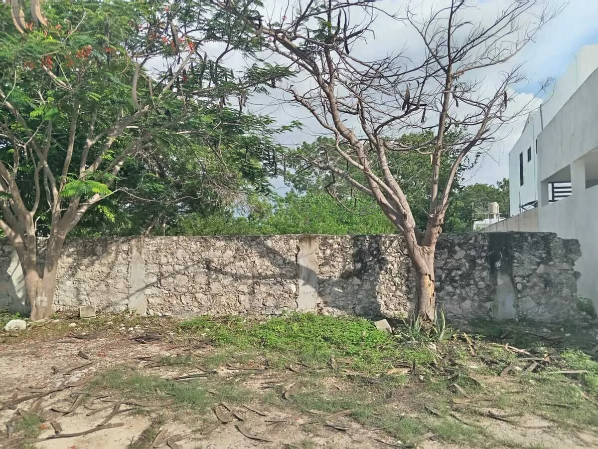 Terreno Spot2