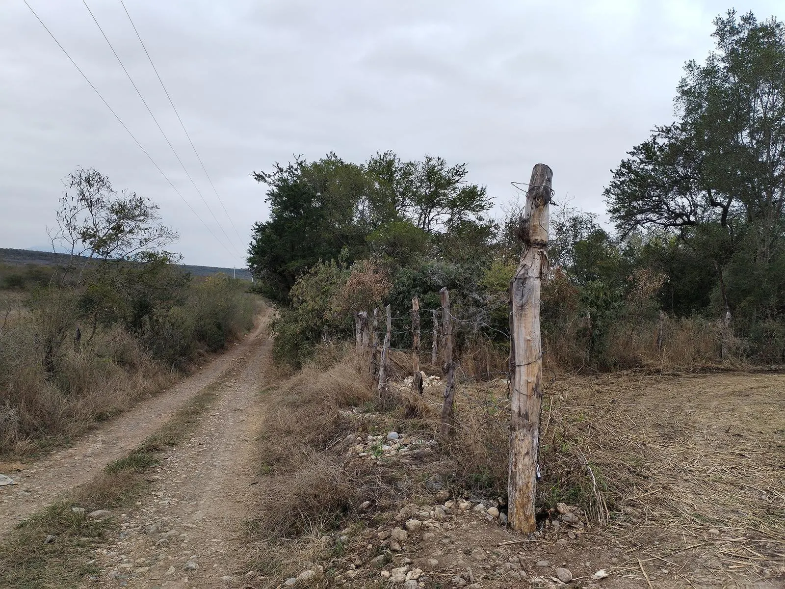 Terreno Spot2