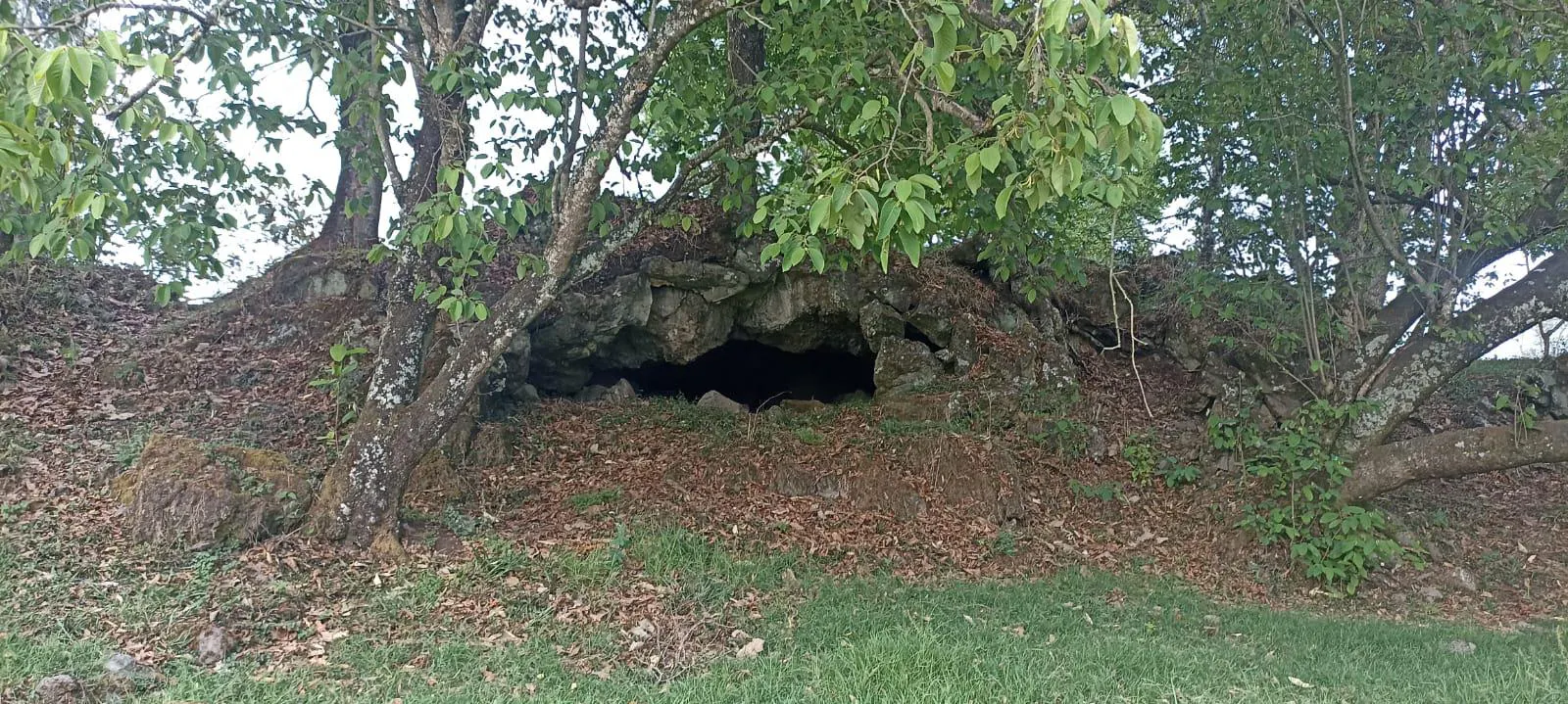 Terreno Spot2
