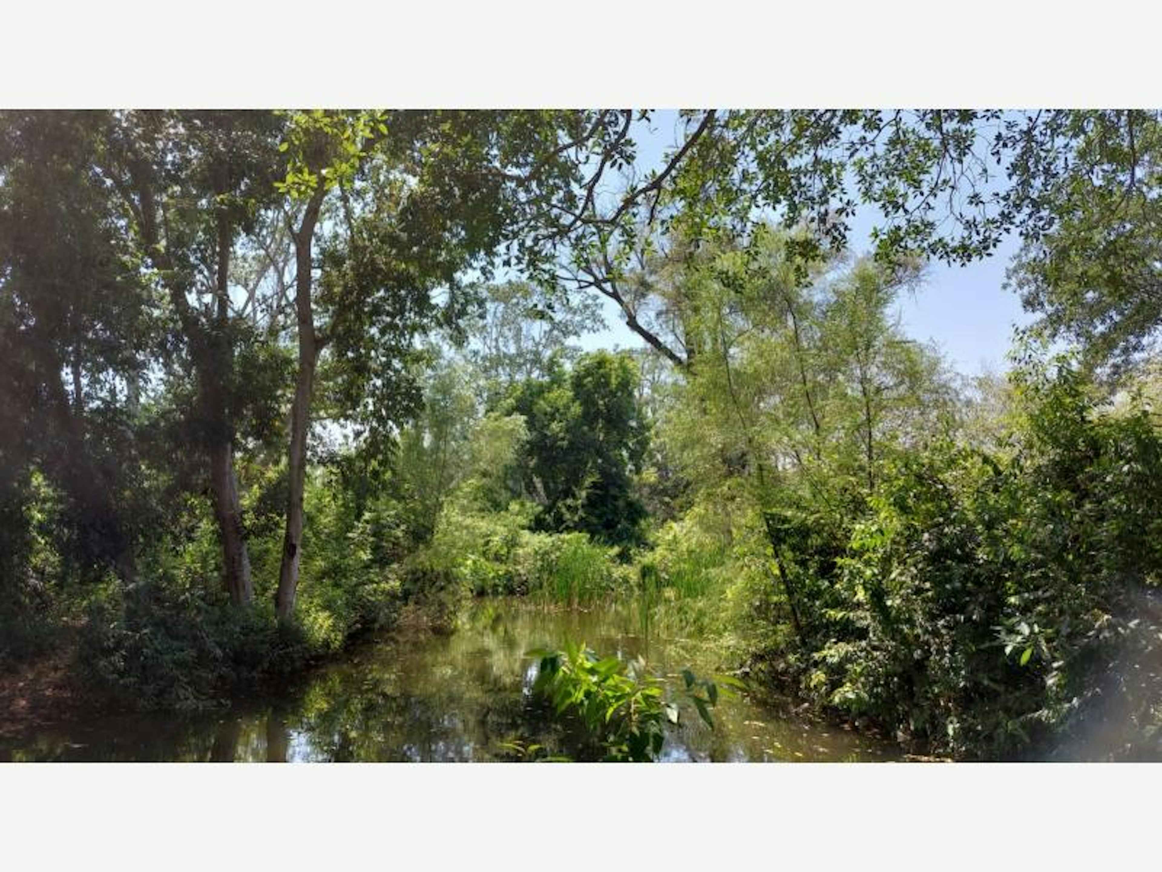 Terreno En Venta En Coquimatlan, Coquimatlán, Colima