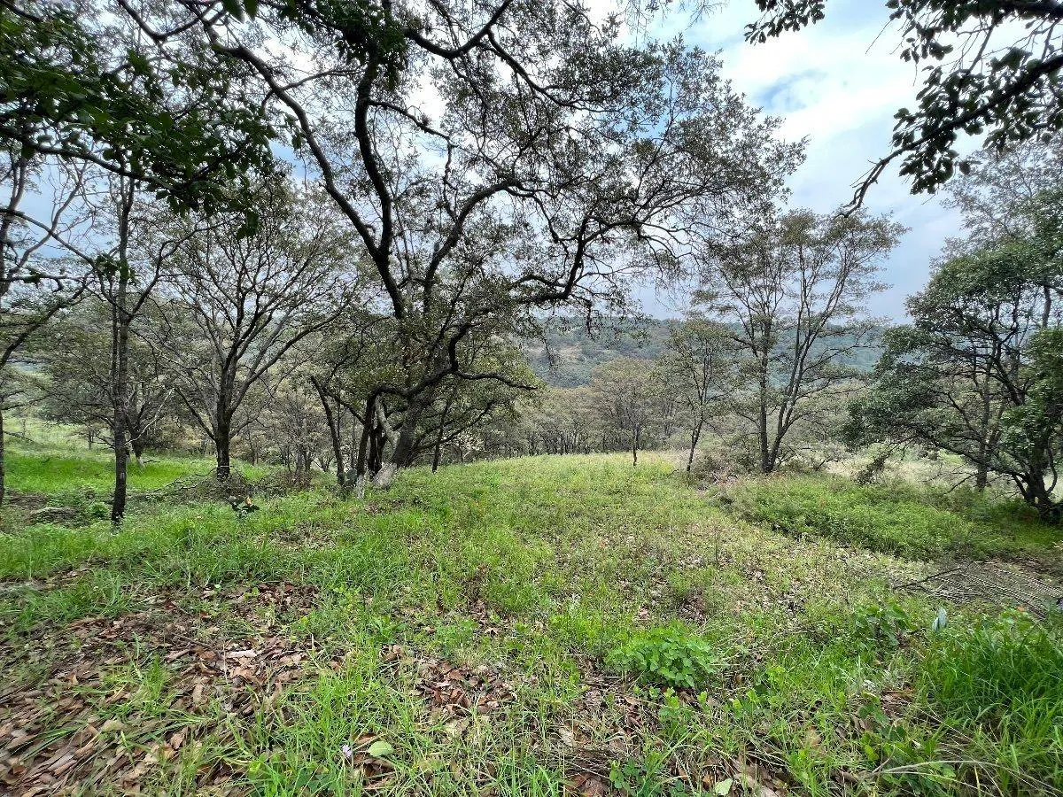Terreno Spot2
