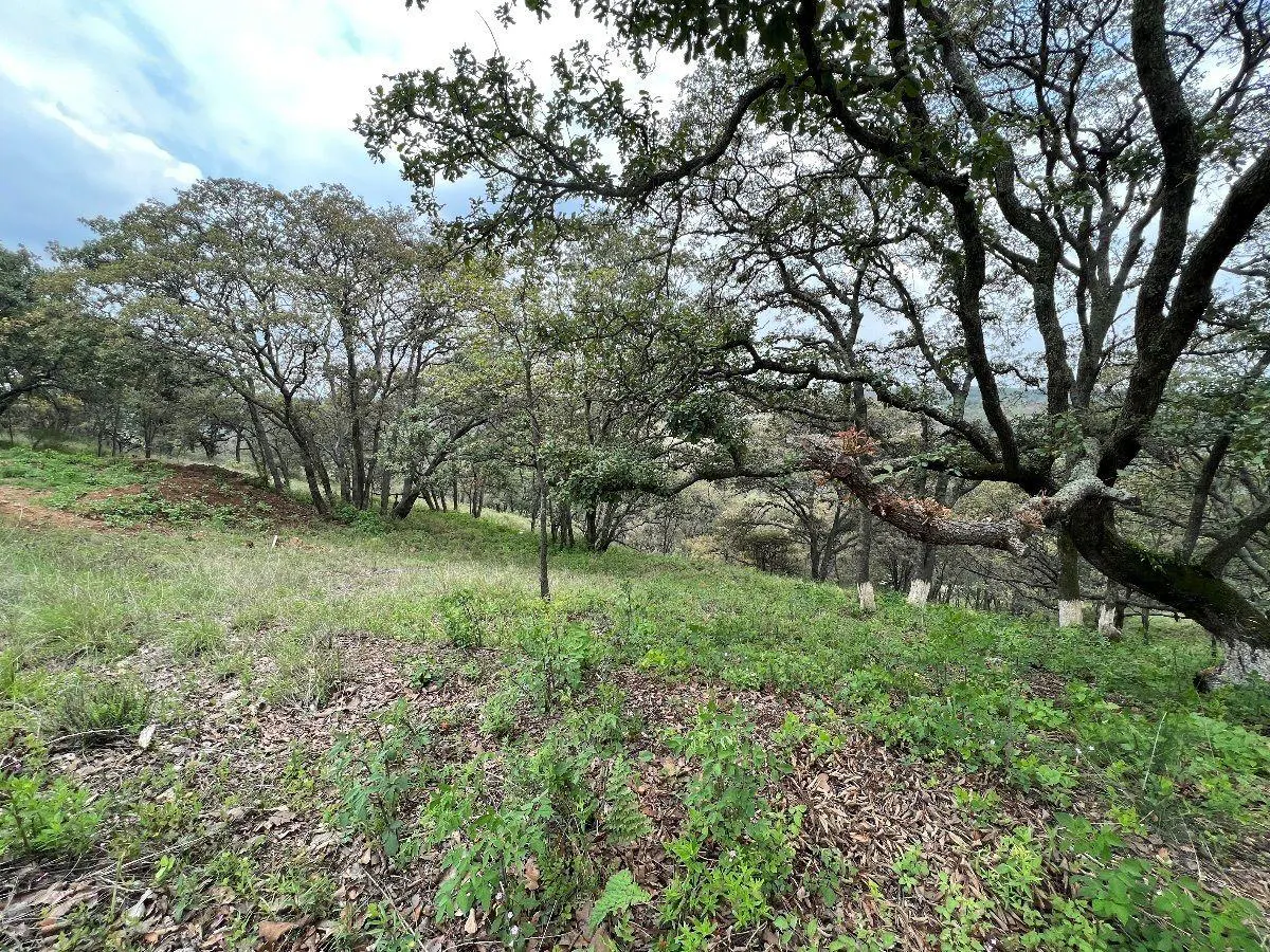 Terreno Spot2