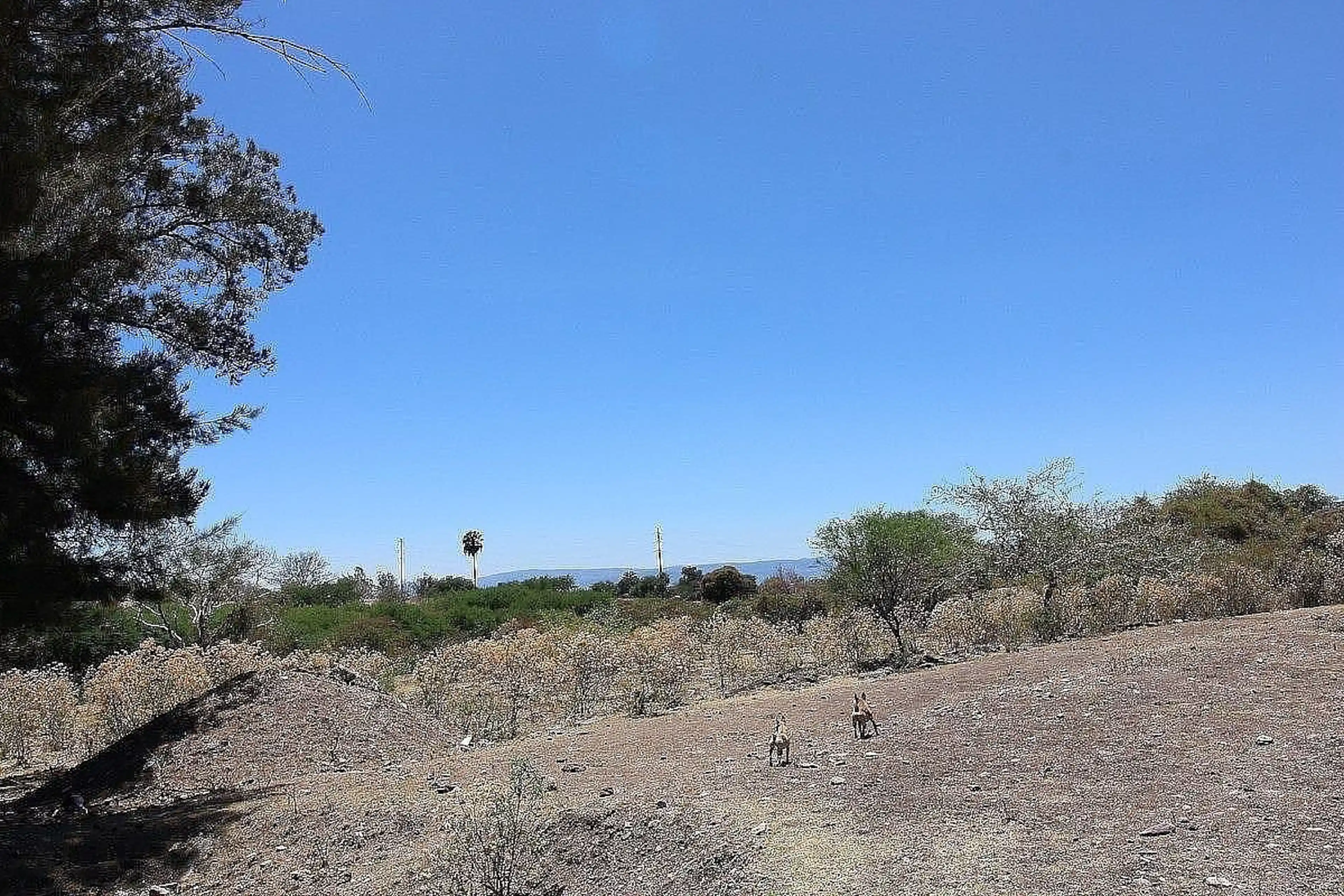 Terreno con alto potencial de desarrollo - Chapala Haciendas
