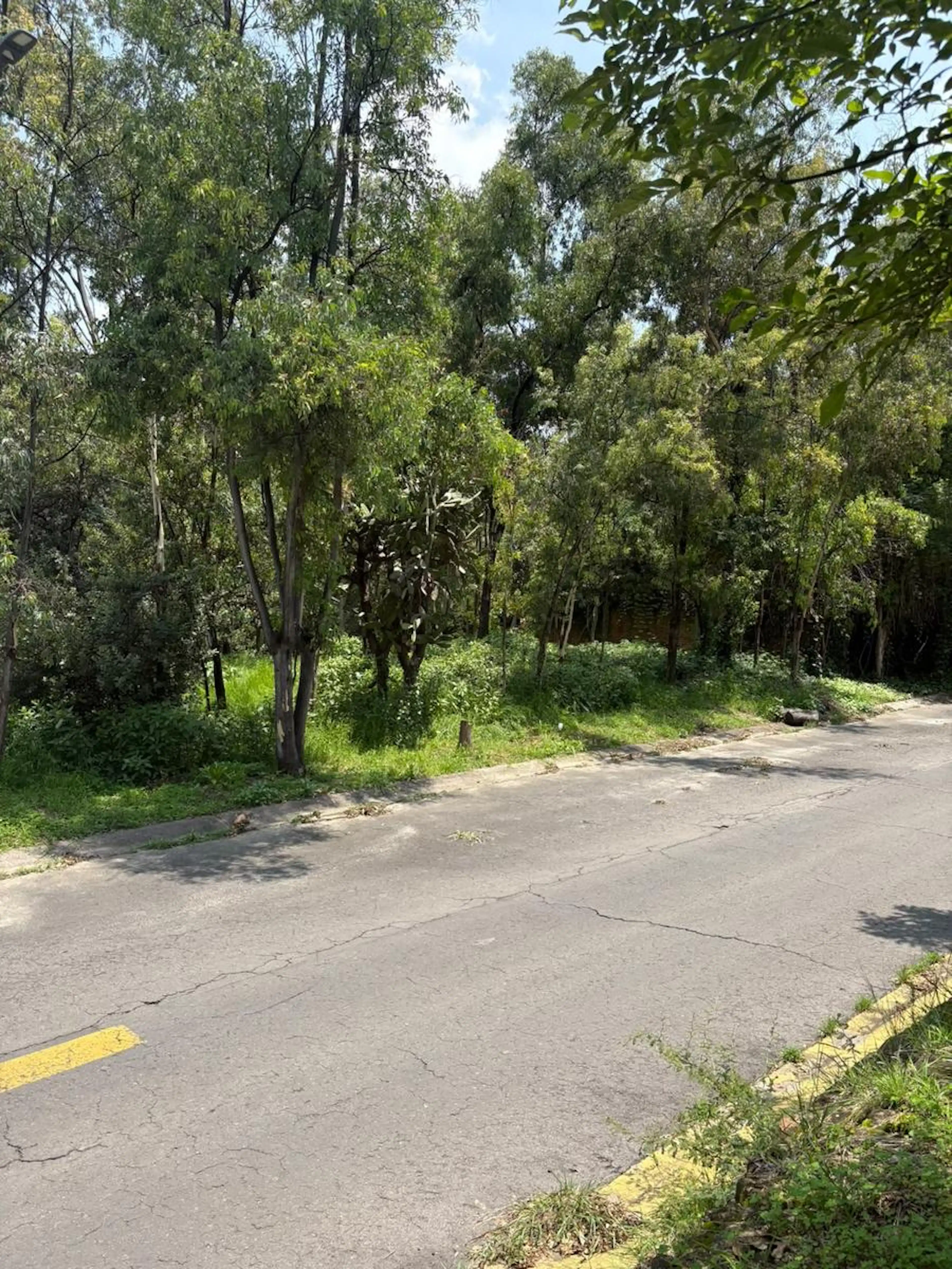Campestre Del Lago Terreno  En Zona Residencial Con Vista Al Lago