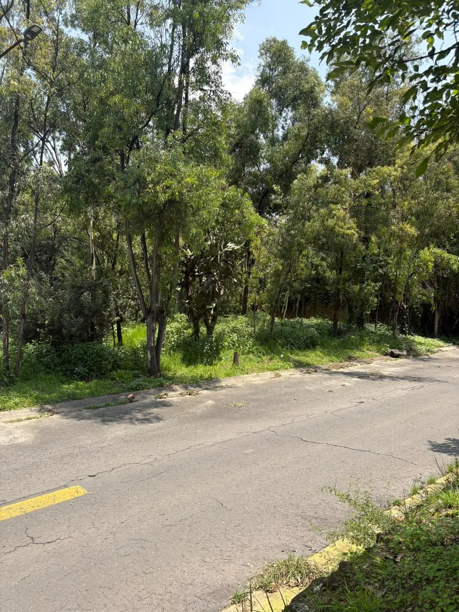 Terreno Spot2