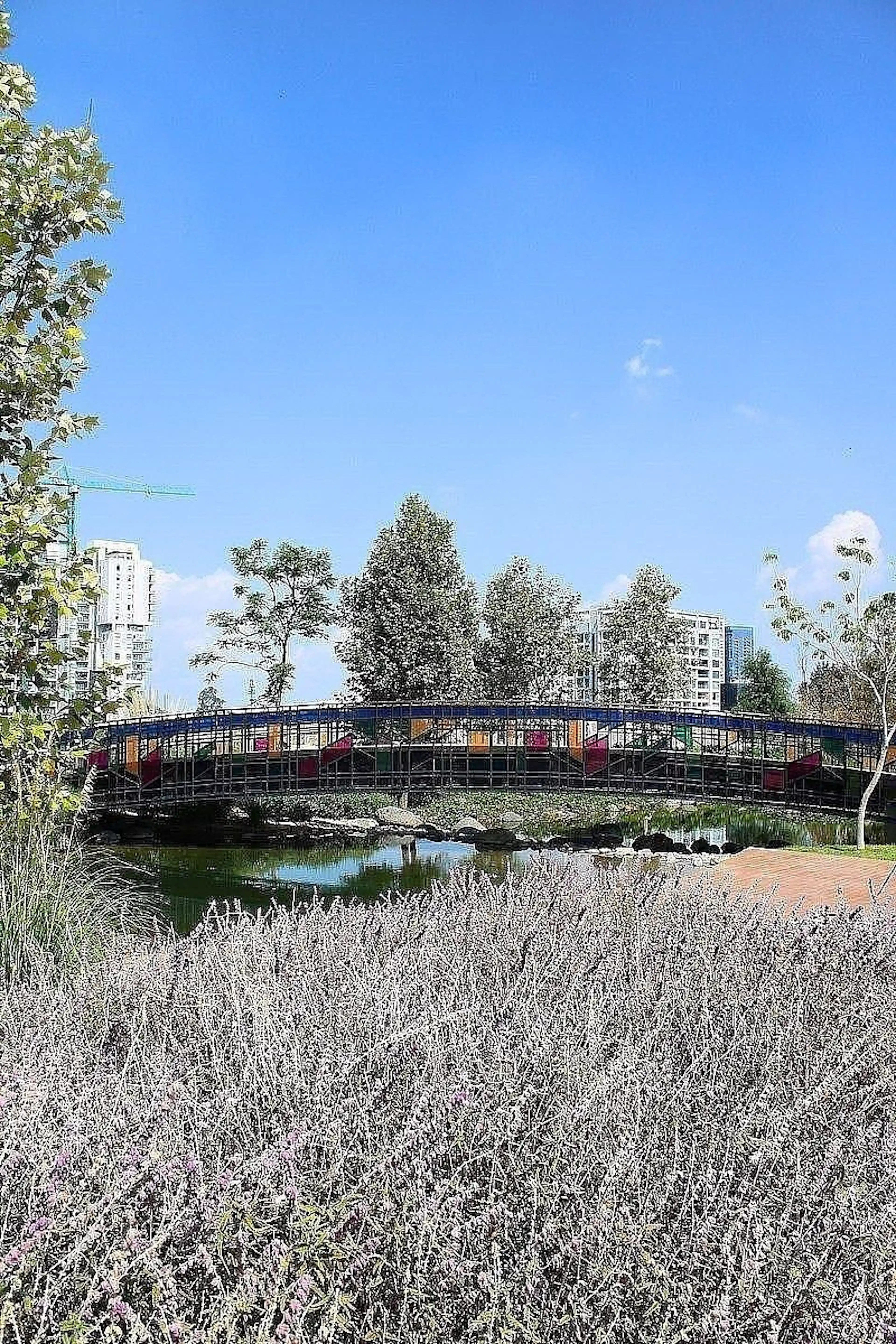 Paseo De Gracia – Macro Lotes Para Desarrollo En La Zona Dorada De Zapopan