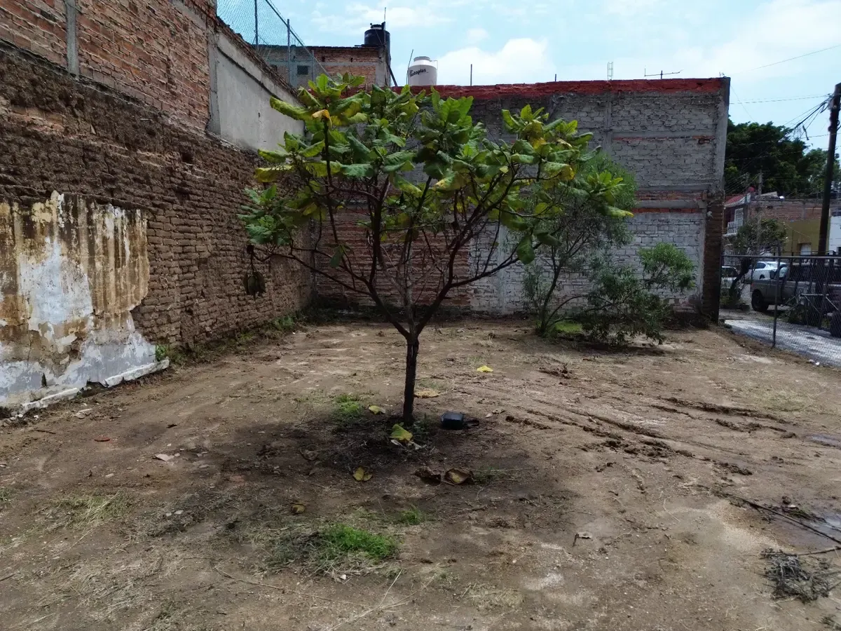 Terreno Spot2