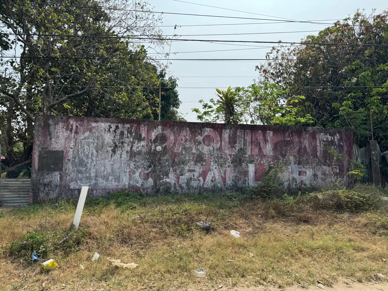 Terreno Spot2