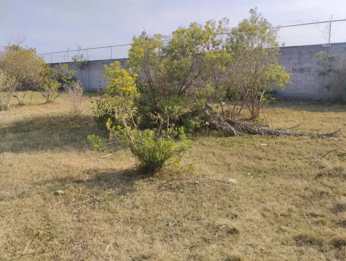 Terreno Spot2